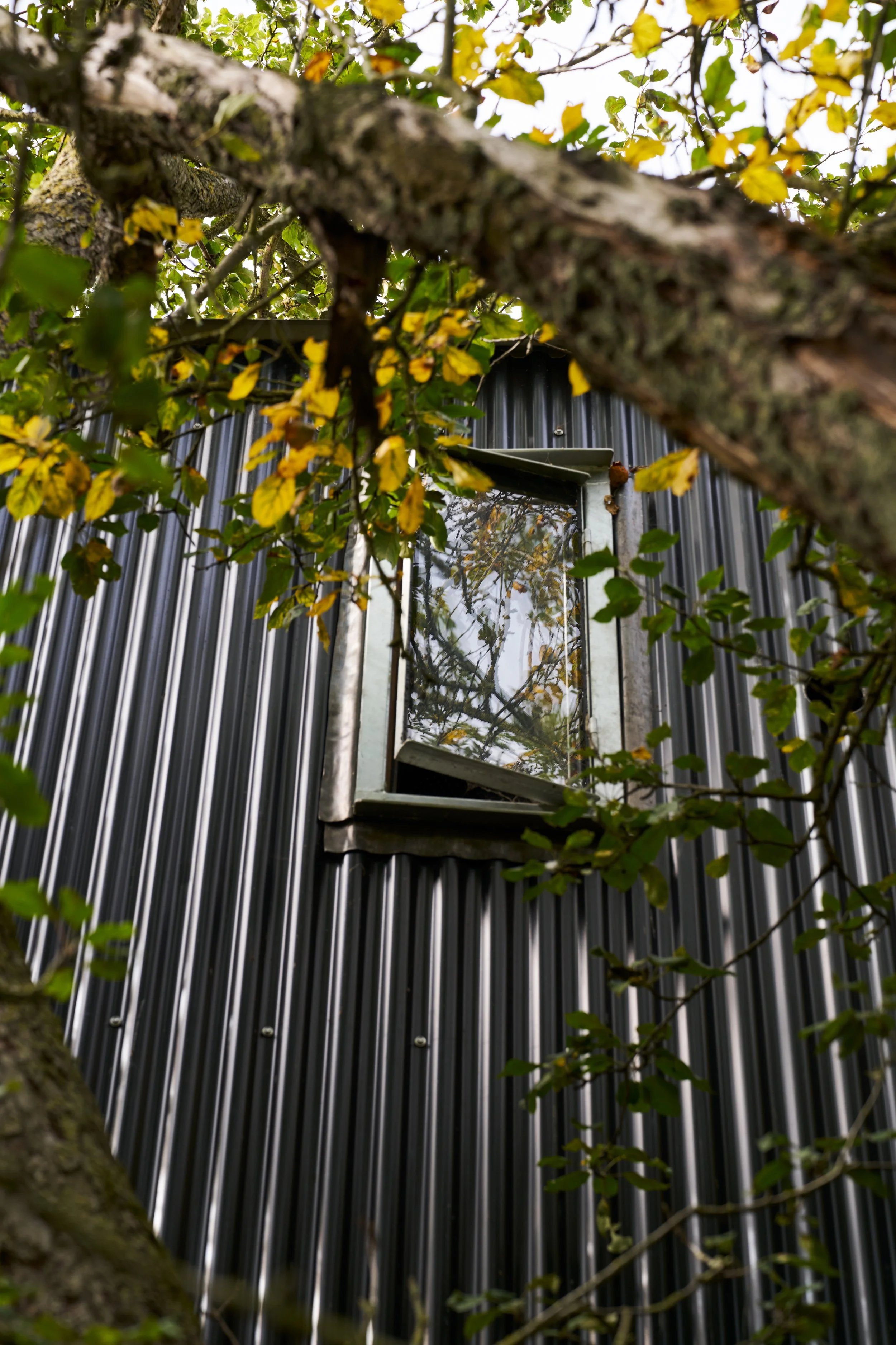 Web_Matt-Witts-Architecture_Quack-and-Shack_1204.jpg