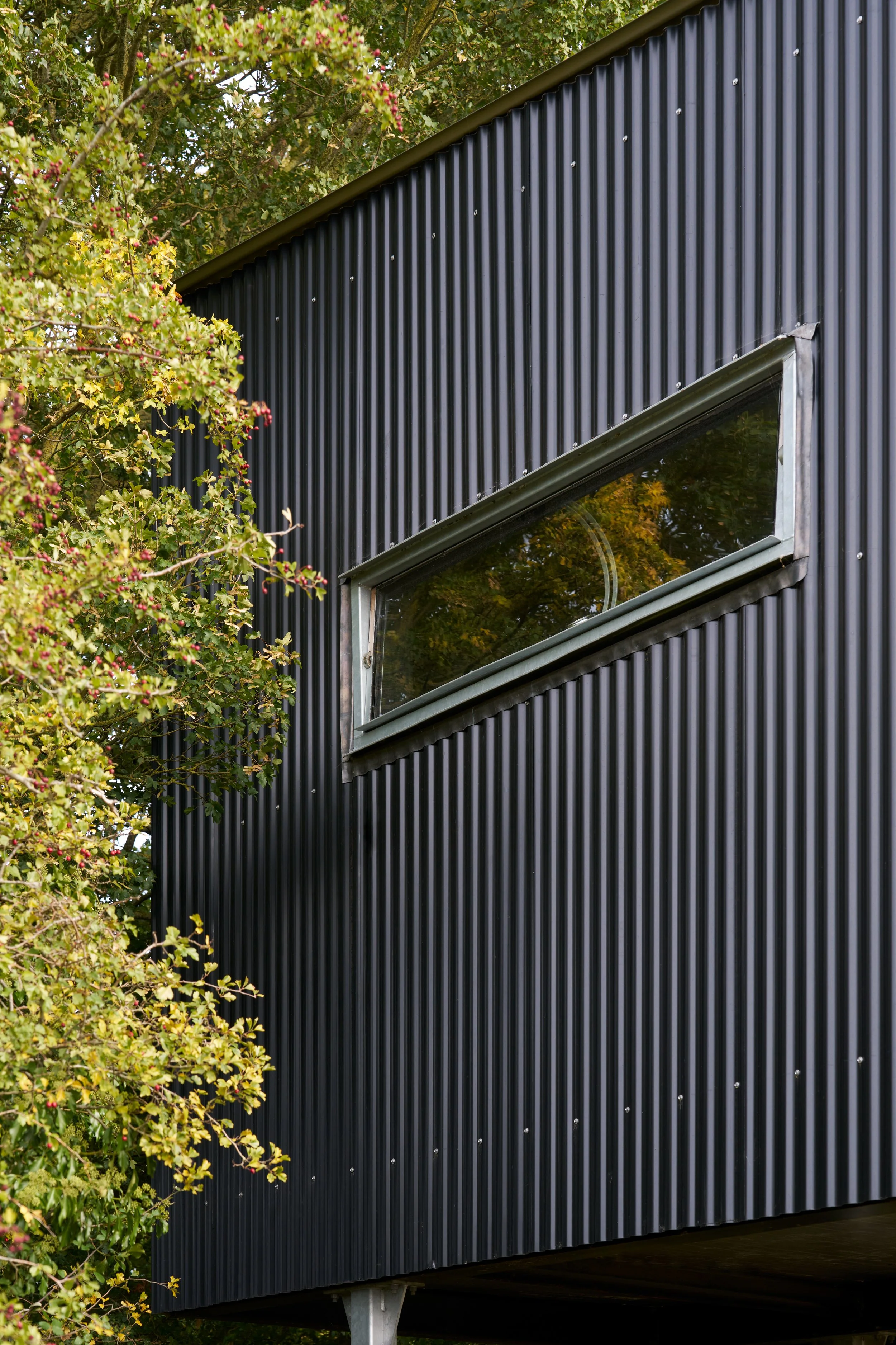 Web_Matt-Witts-Architecture_Quack-and-Shack_1158.jpg