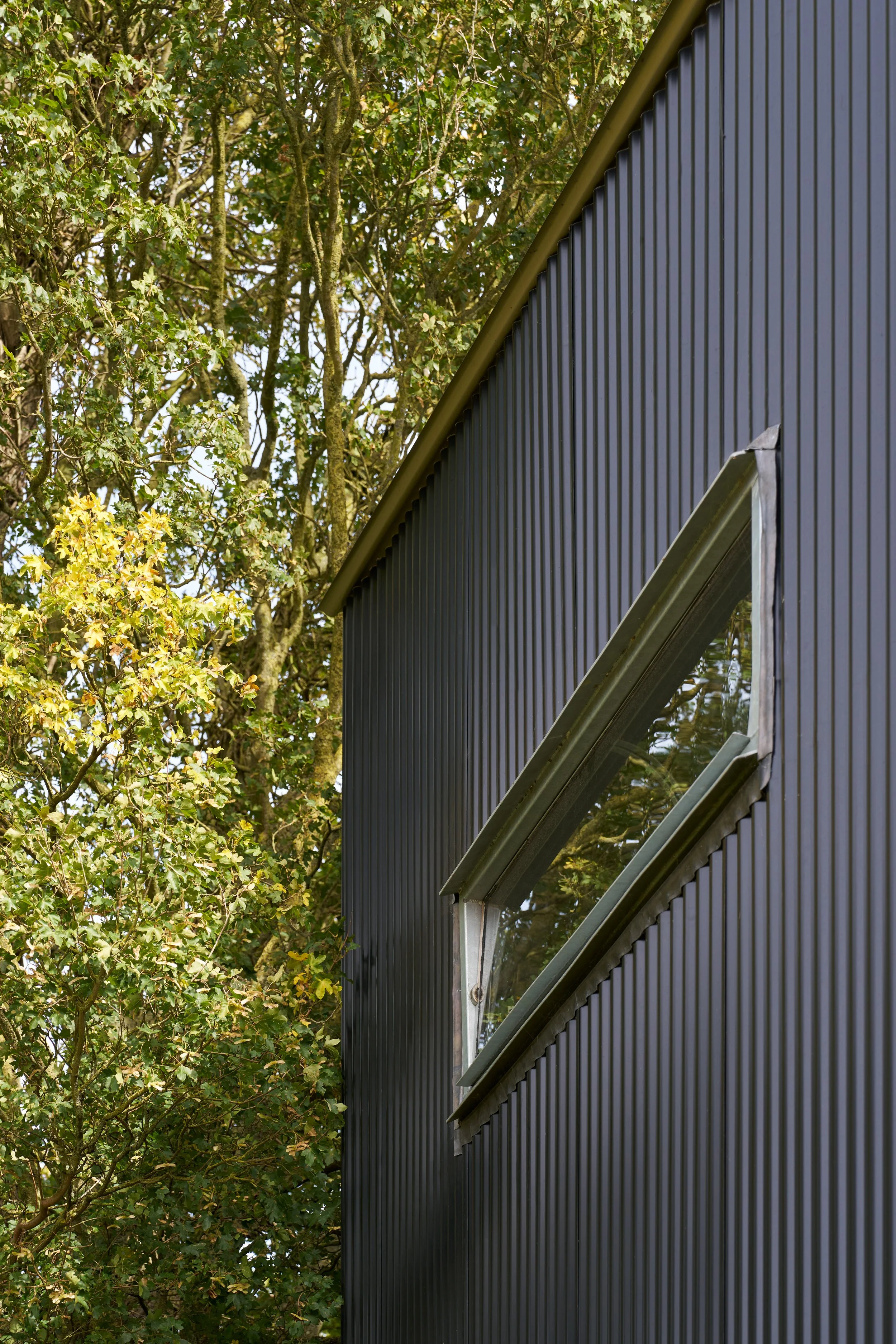 Web_Matt-Witts-Architecture_Quack-and-Shack_1179.jpg