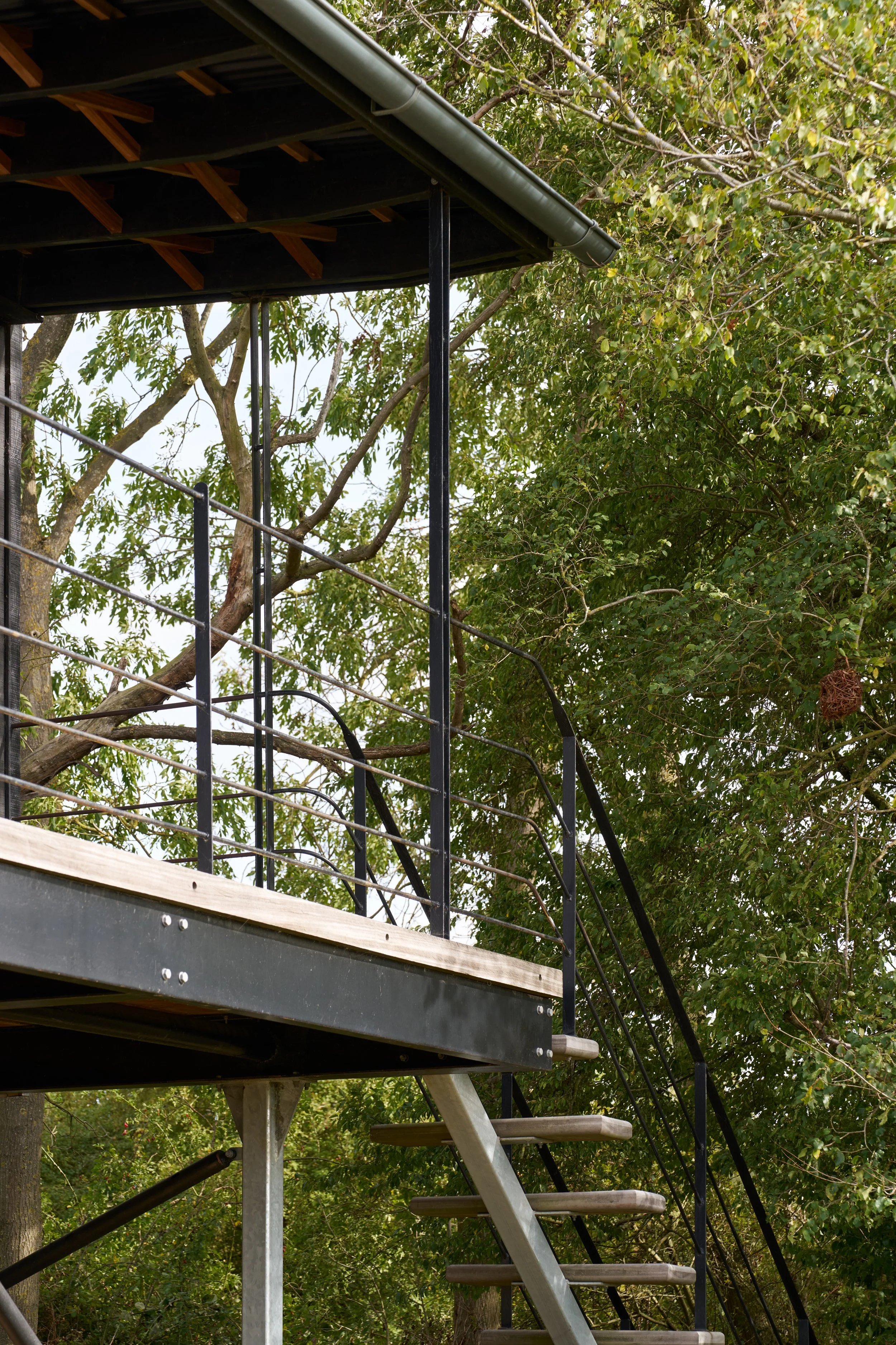 Web_Matt-Witts-Architecture_Quack-and-Shack_1176.jpg