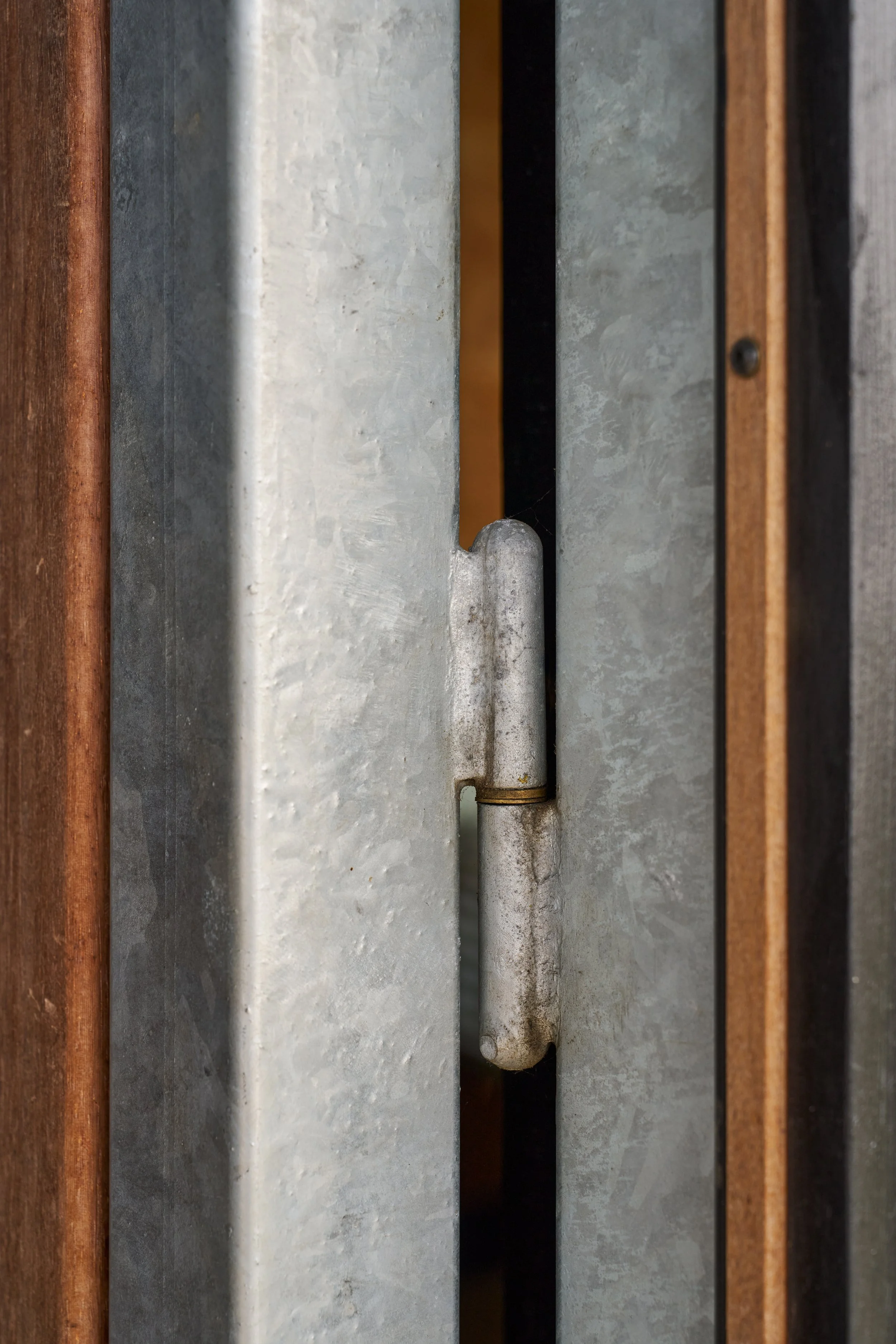 Web_Matt-Witts-Architecture_Quack-and-Shack_1033.jpg