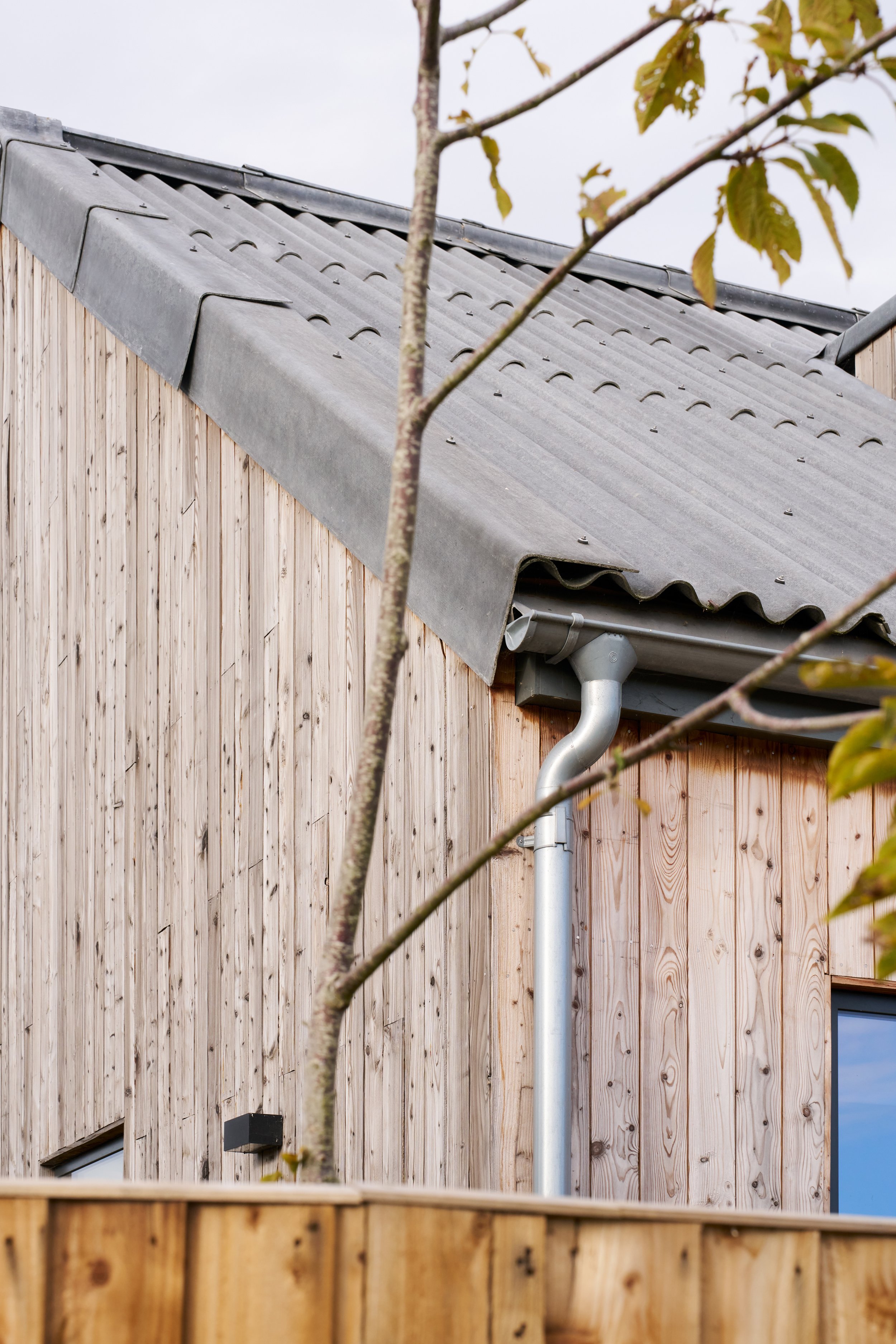 Web_Matt-Witts-Architecture_Maple-Lodge_0033.jpg