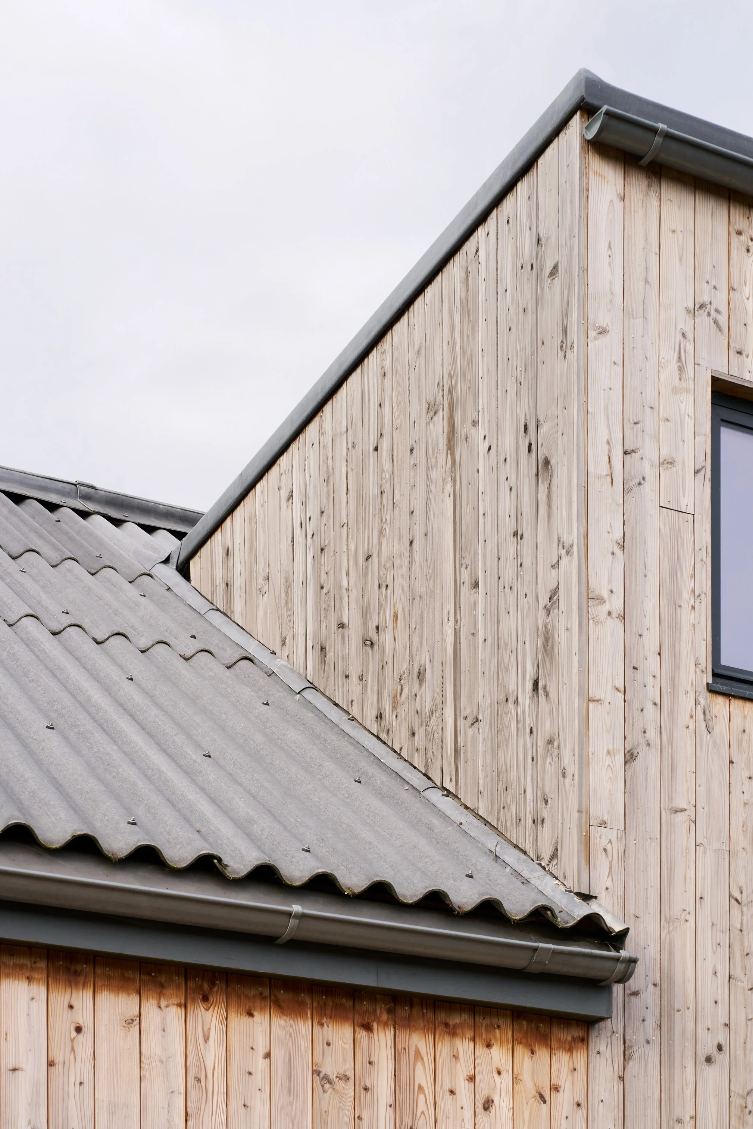 Web_Matt-Witts-Architecture_Maple-Lodge_0031.jpg