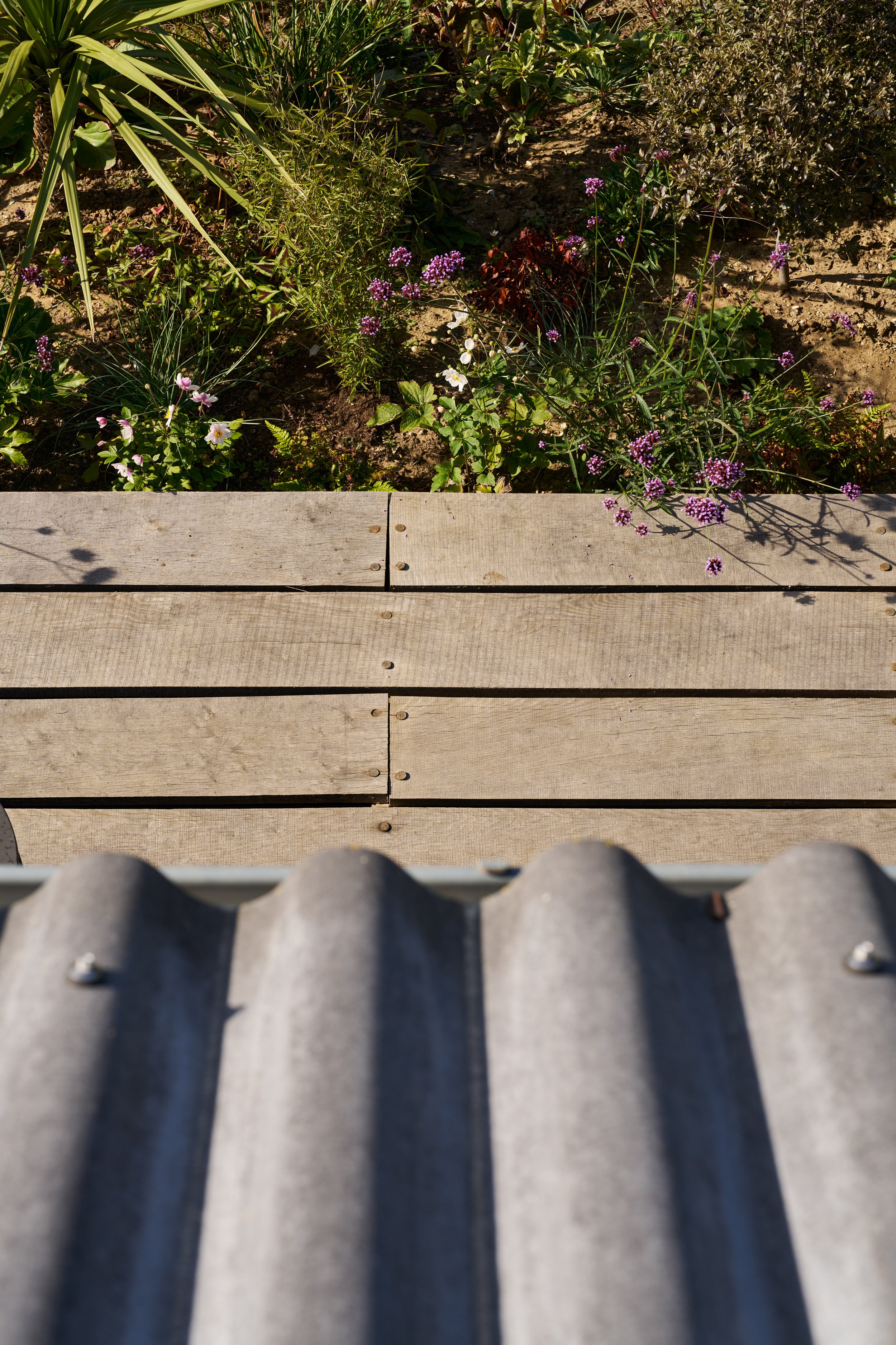 Web_Matt-Witts-Architecture_Maple-Lodge_0767.jpg