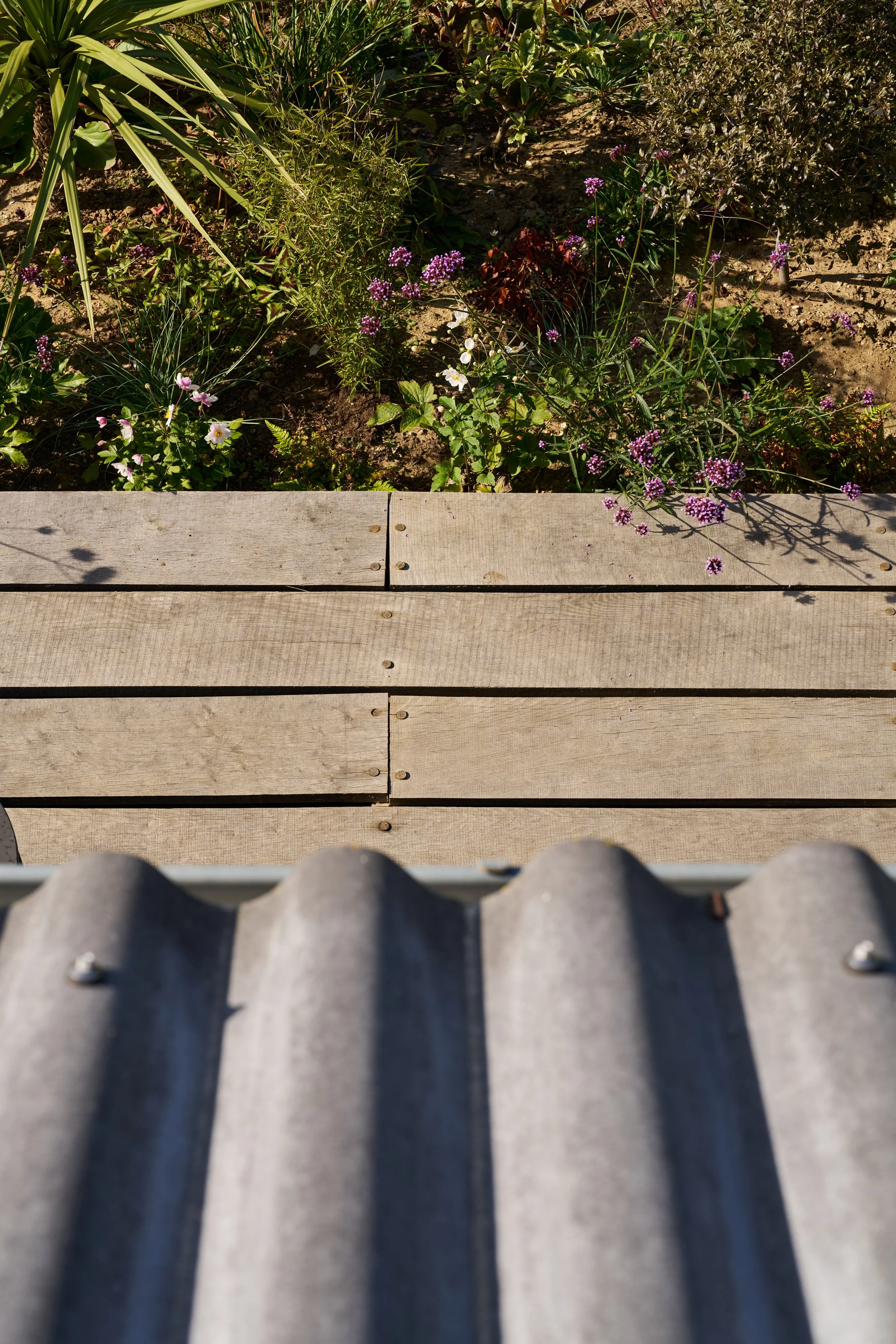 Web_Matt-Witts-Architecture_Maple-Lodge_0767.jpg