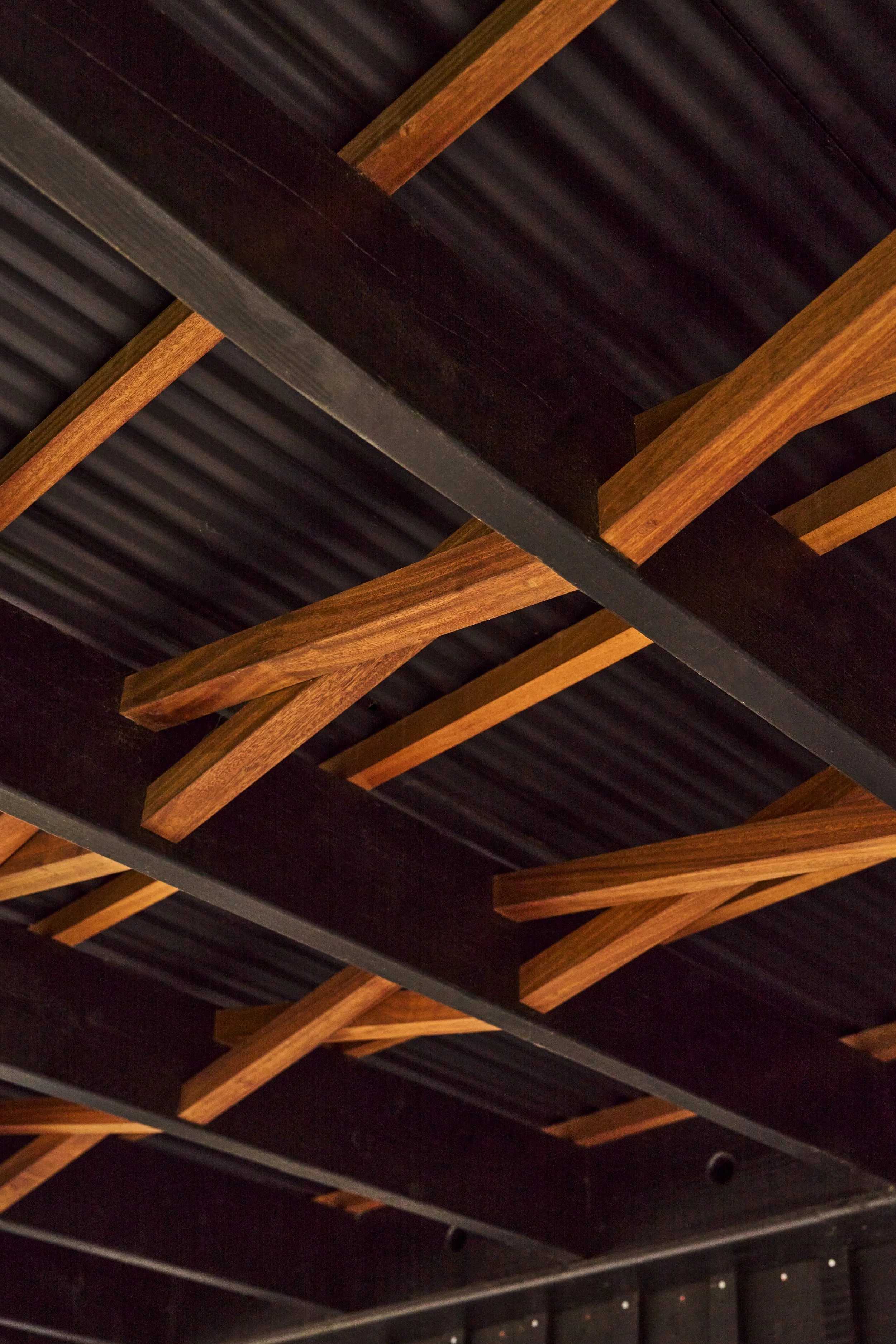 Web_Matt-Witts-Architecture_Quack-and-Shack_1007.jpg