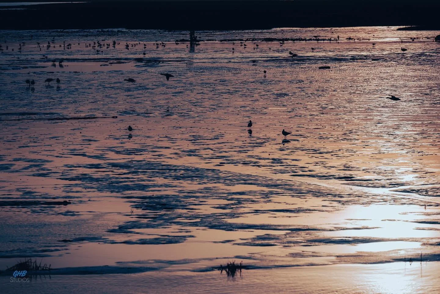 #leighonsea #leigh-on-sea #photography #nikon #nikonz7ii