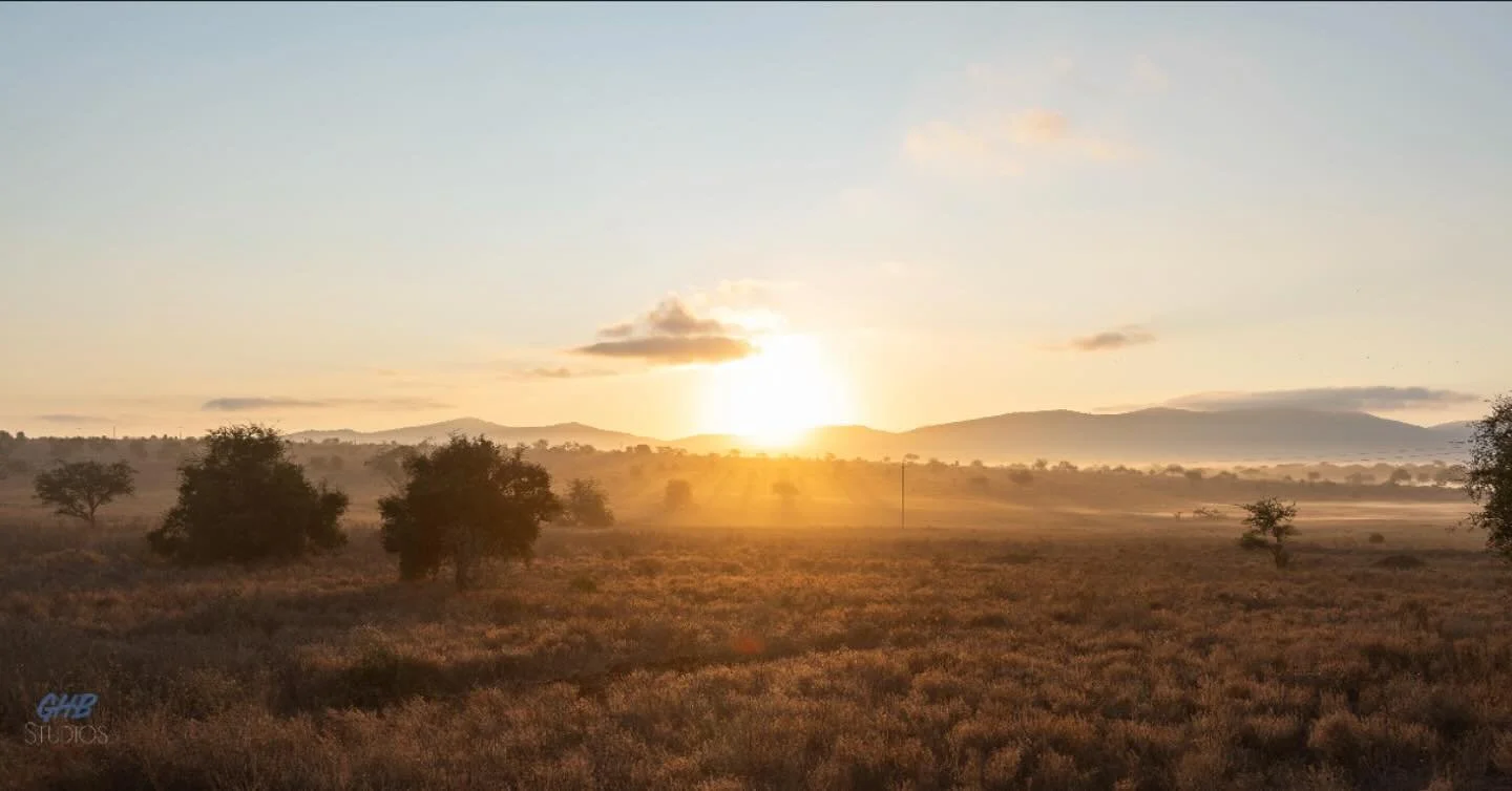 Sun Rise ☀️ Kenya 🇰🇪 #saltlicksafarilodge