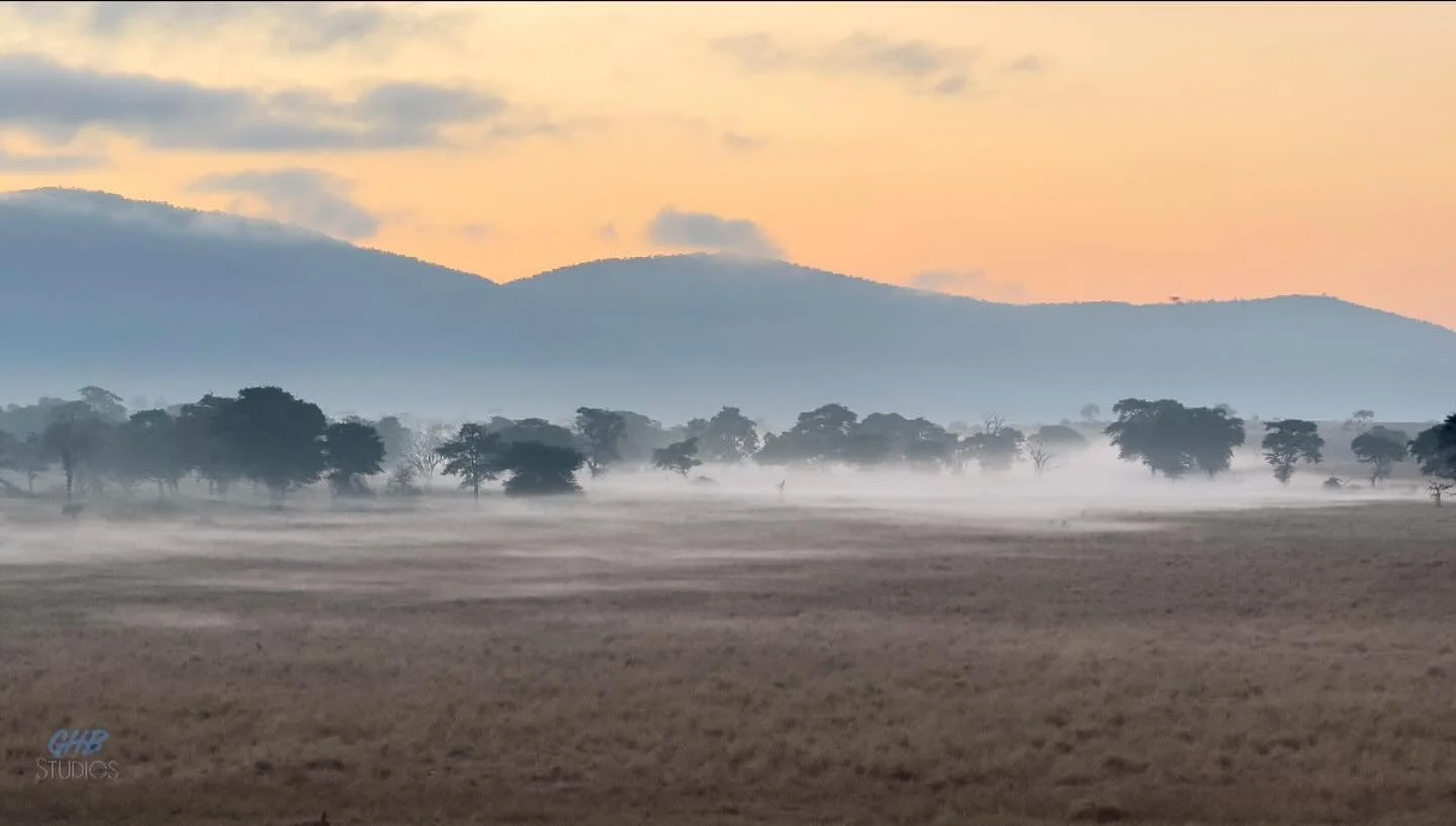 Early riser Kenya 🇰🇪 #saltlicksafarilodge