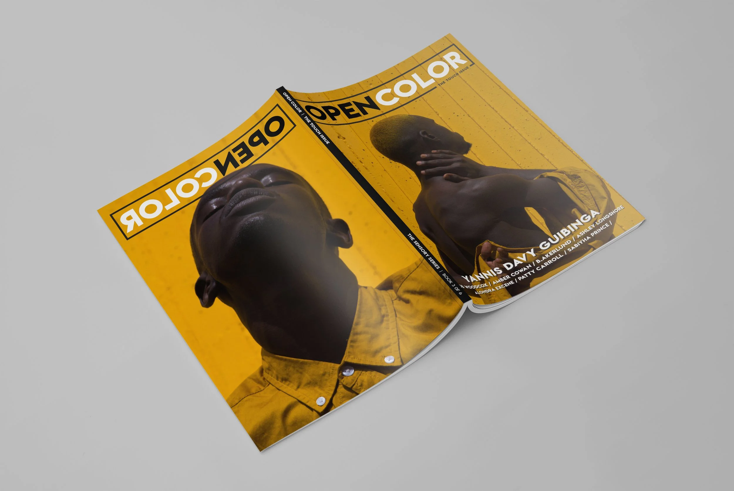 Touch Issue Mock Up 3.jpg