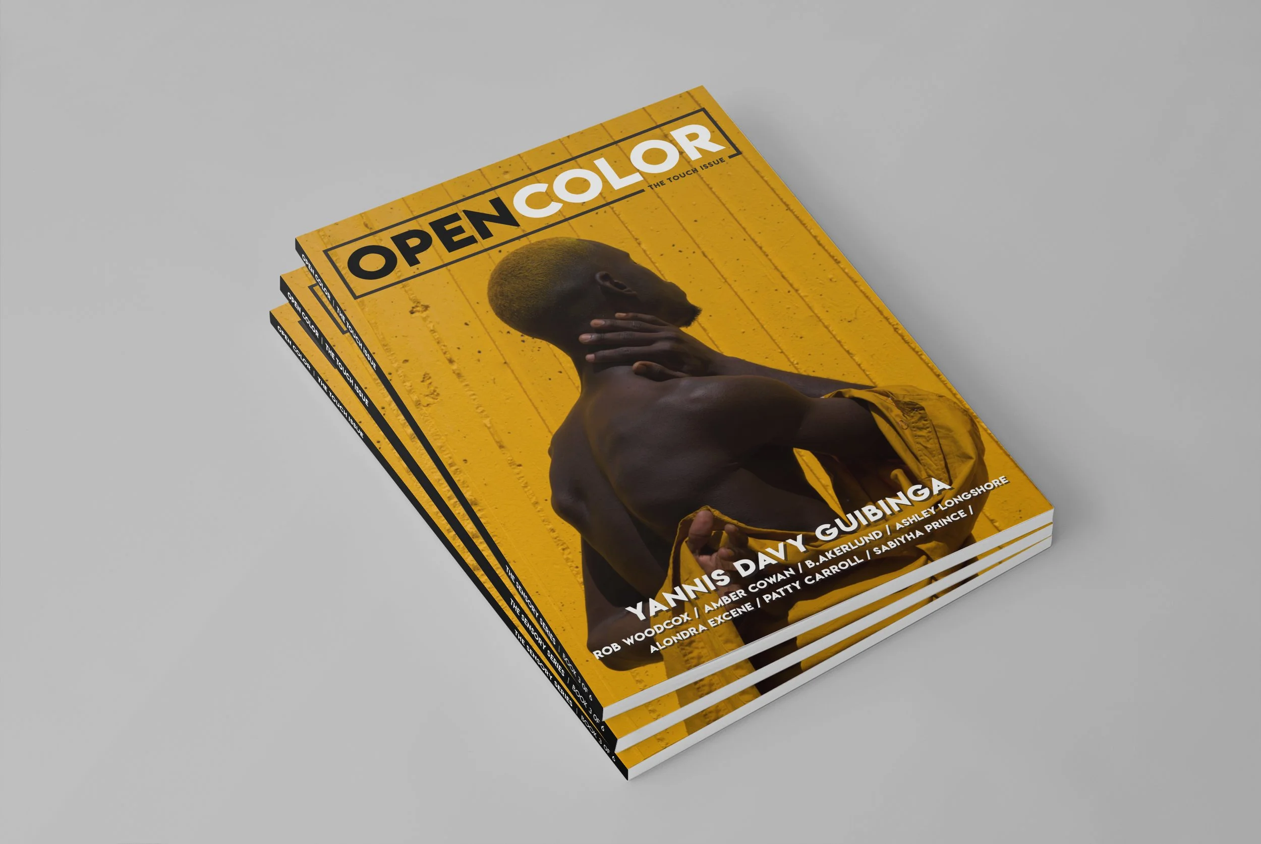 Touch Issue Mock Up 1.jpg