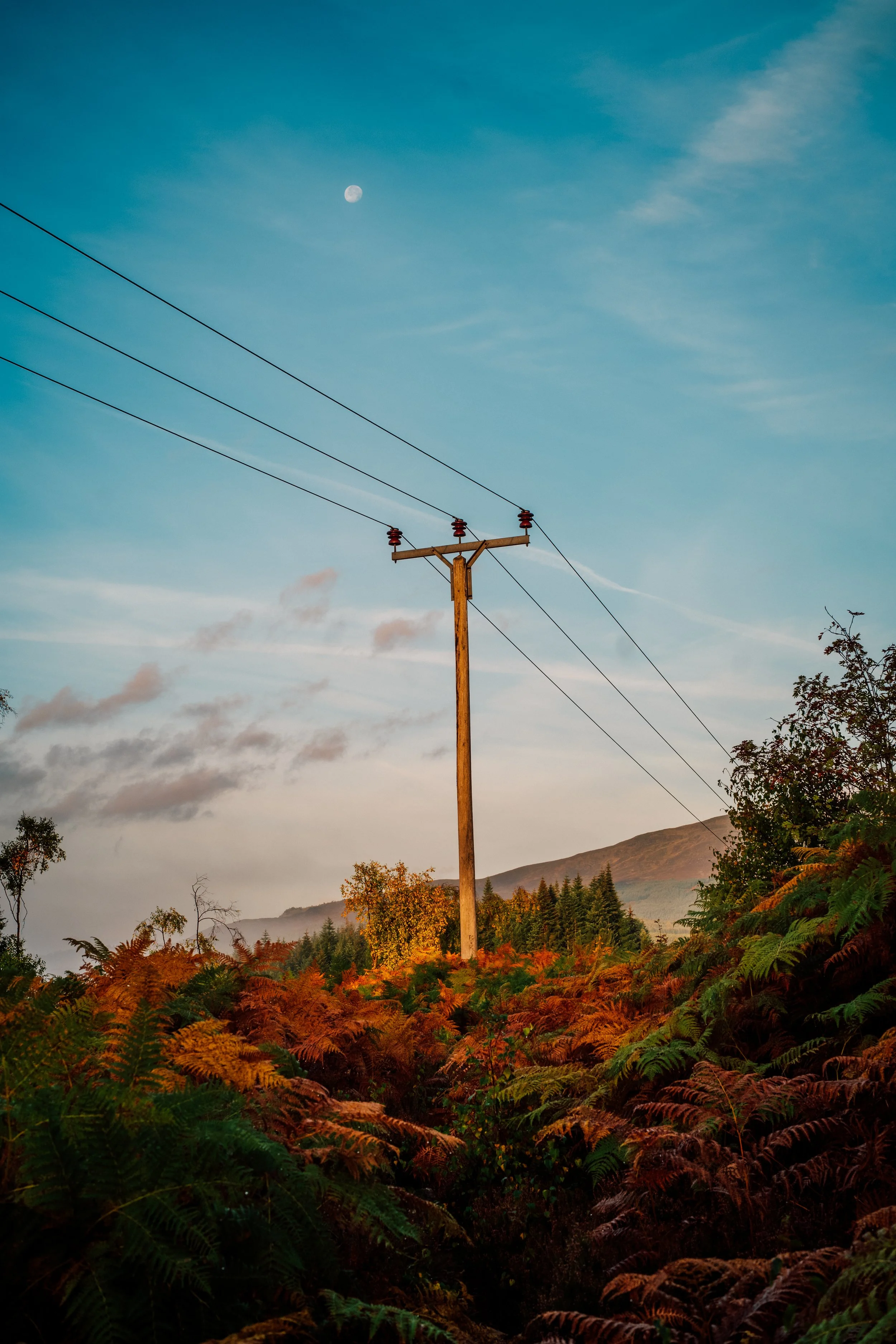 L1100668-HDR.jpg