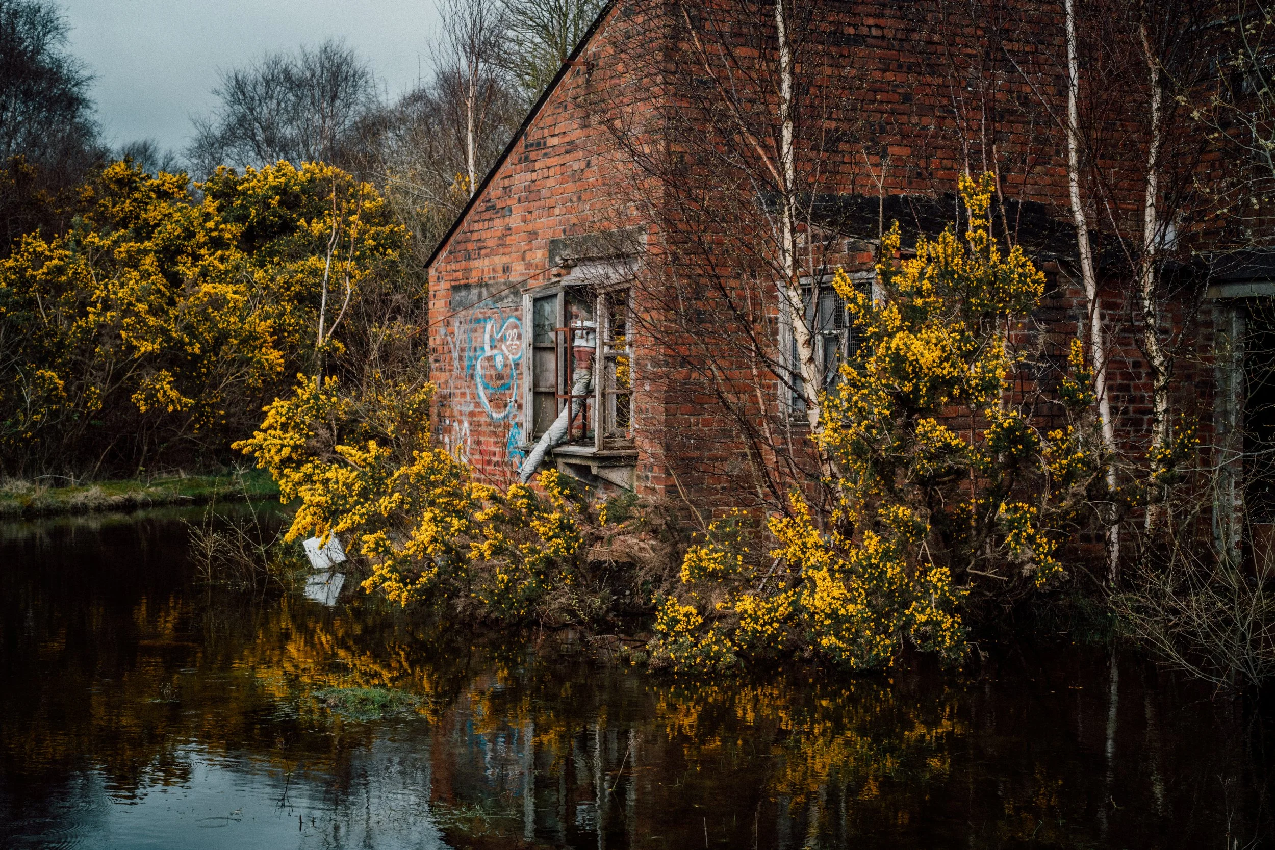 L1080114-HDR.jpg