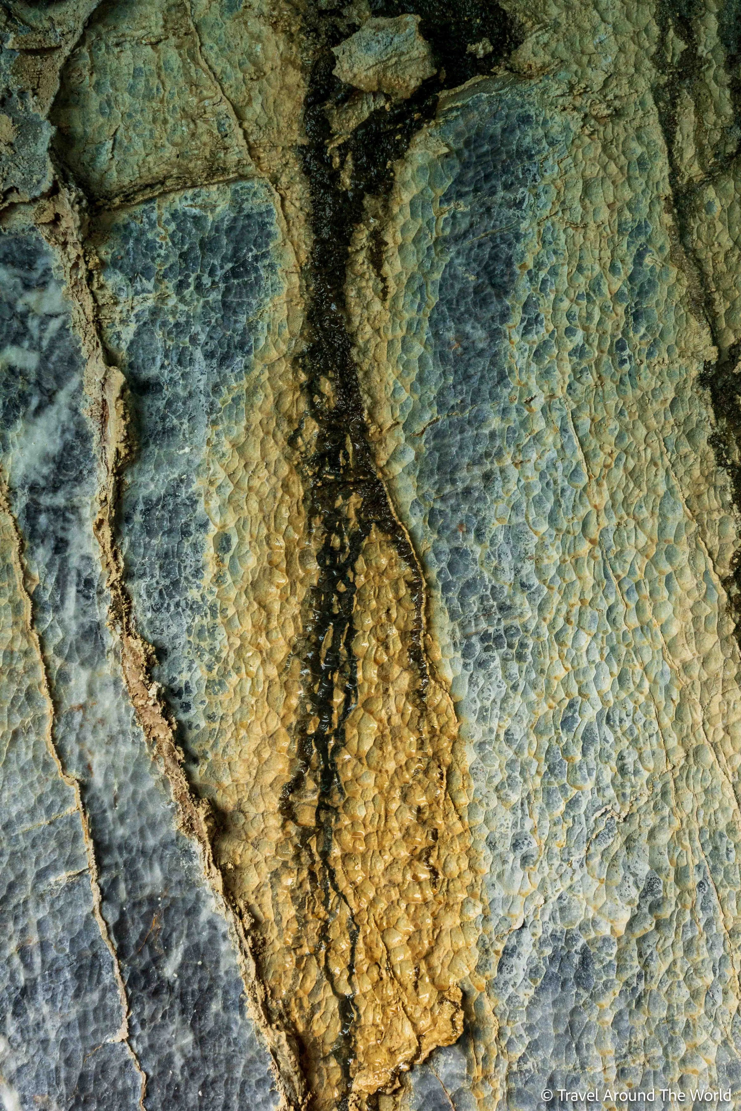 _SA50360.jpg