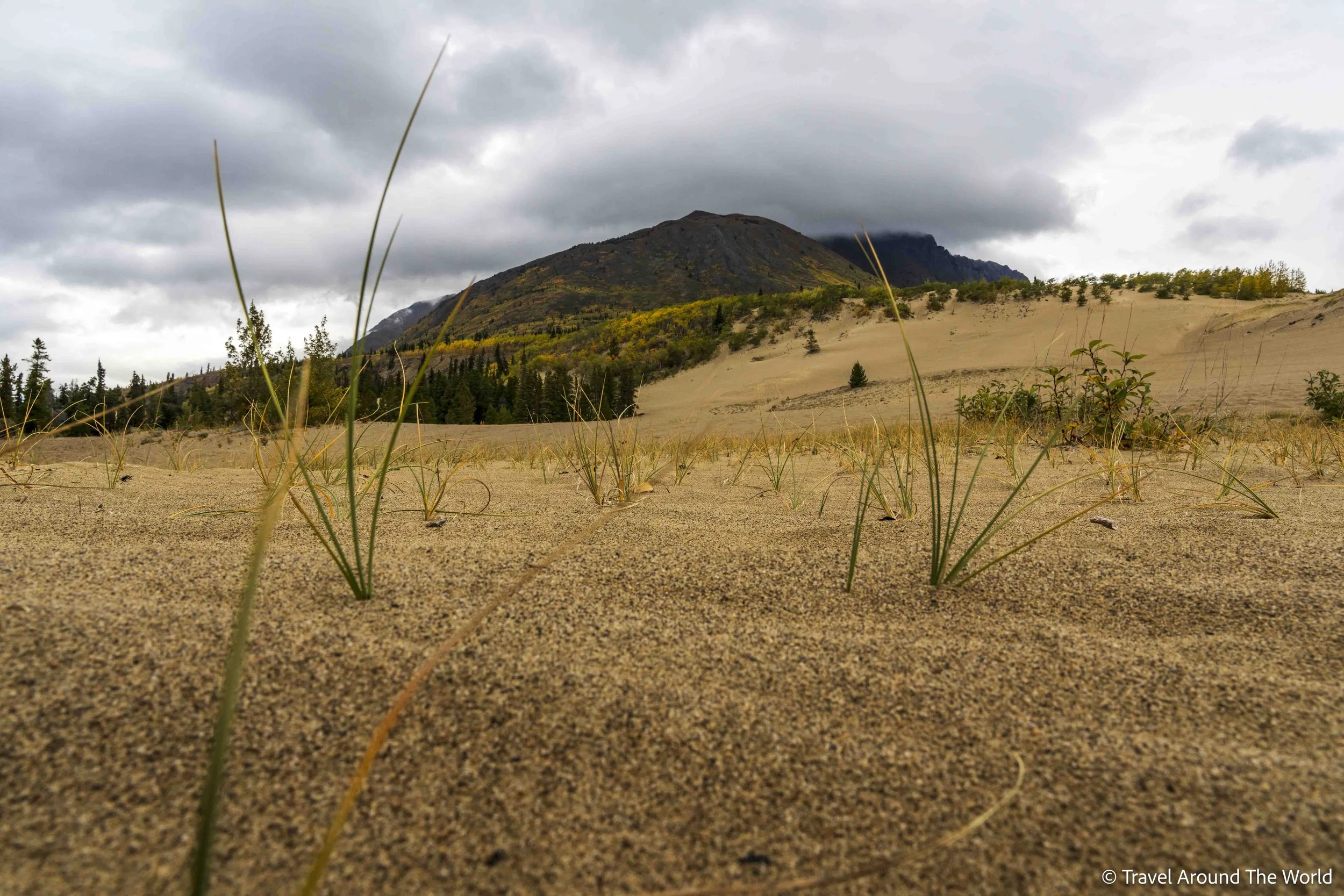 Carcross Desert