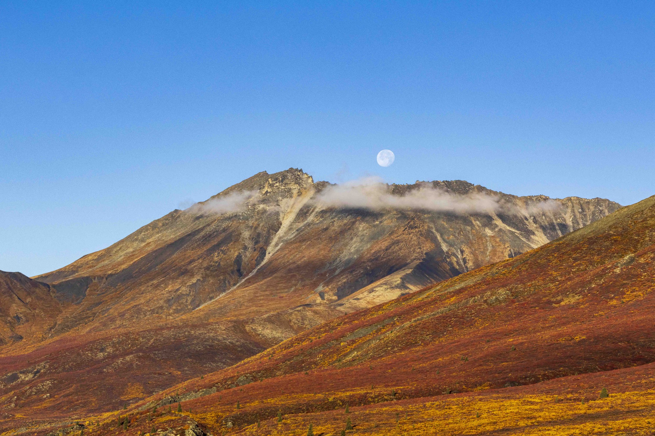 Dempster Highway II