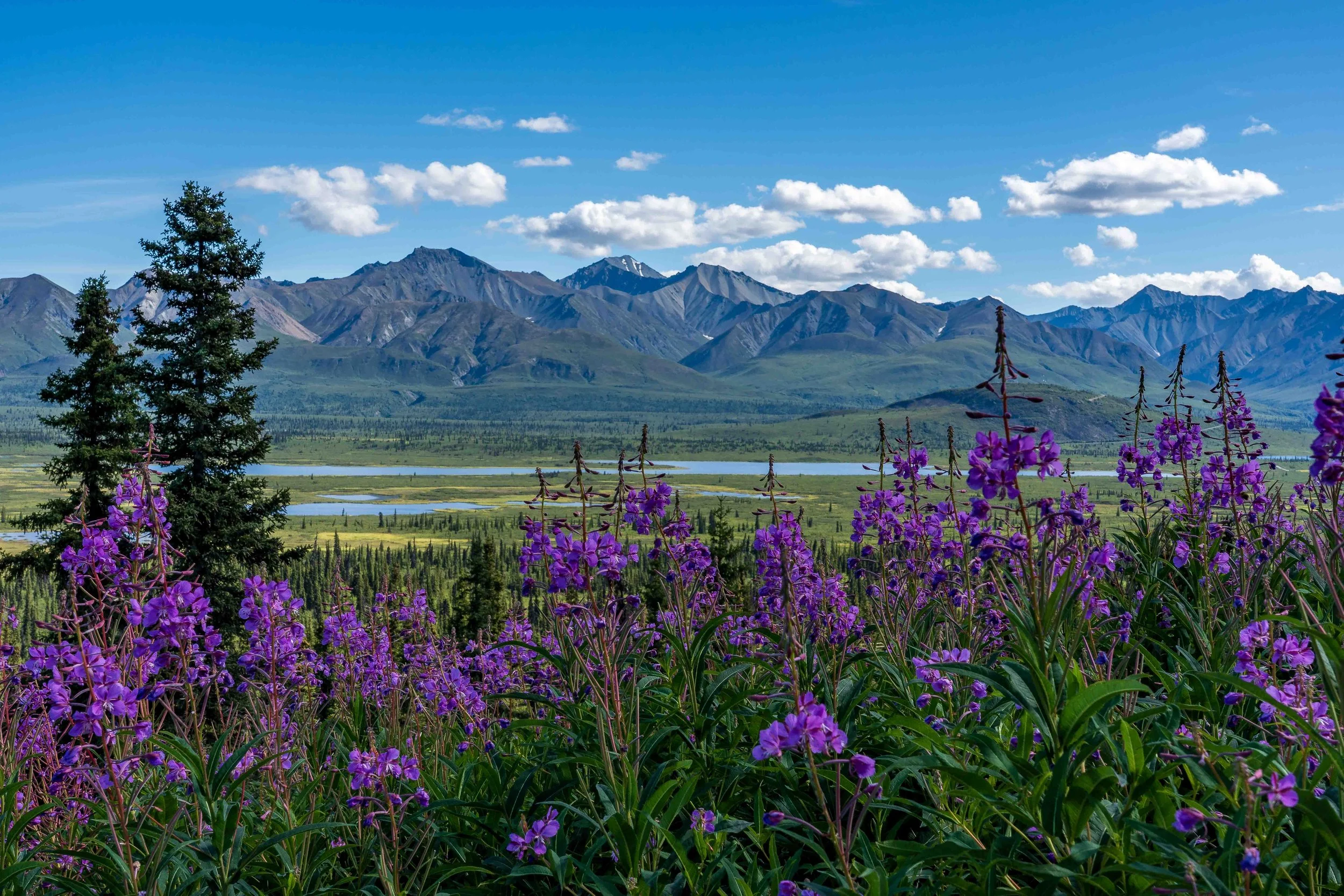 #41: Zurück im hohen Norden – Ankommen und Aufbrechen