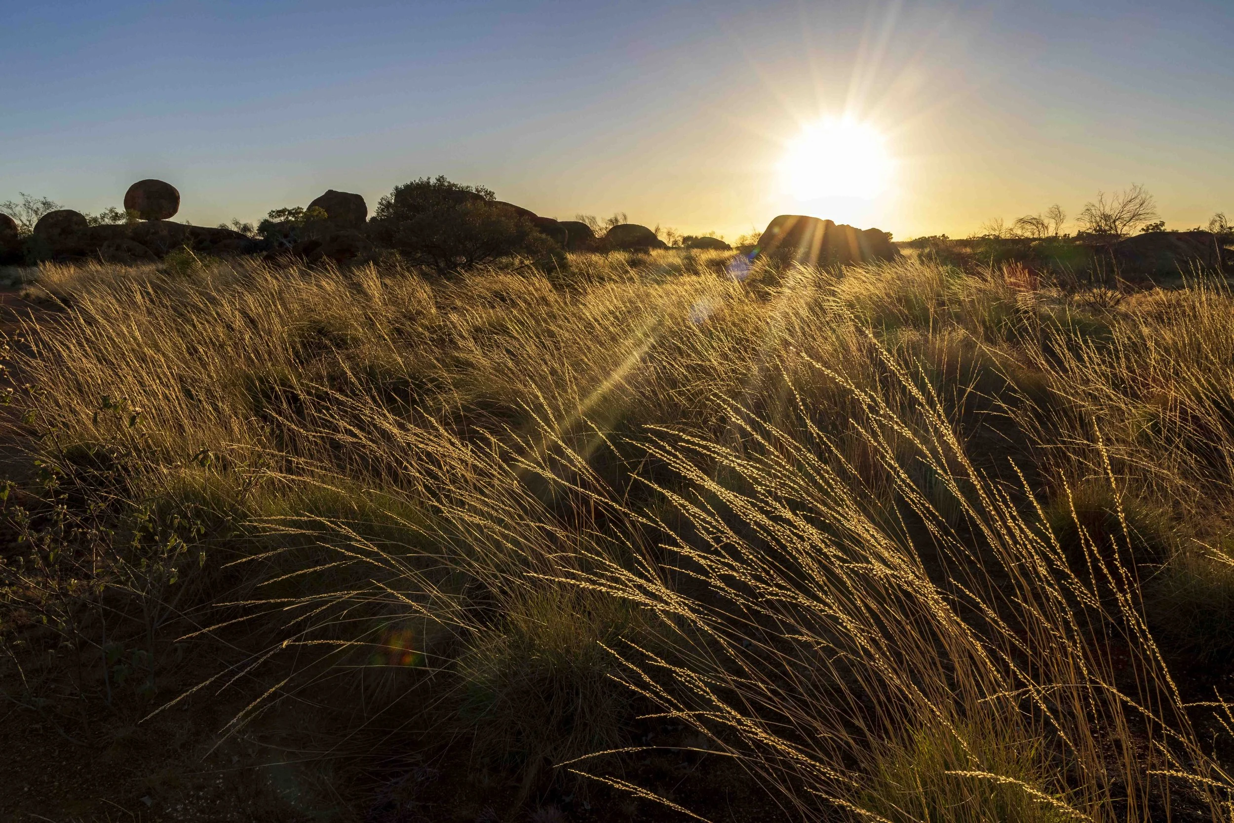 #36: Ein paar Zahlen und Fakten zu unserem Westaustralien-Aufenthalt