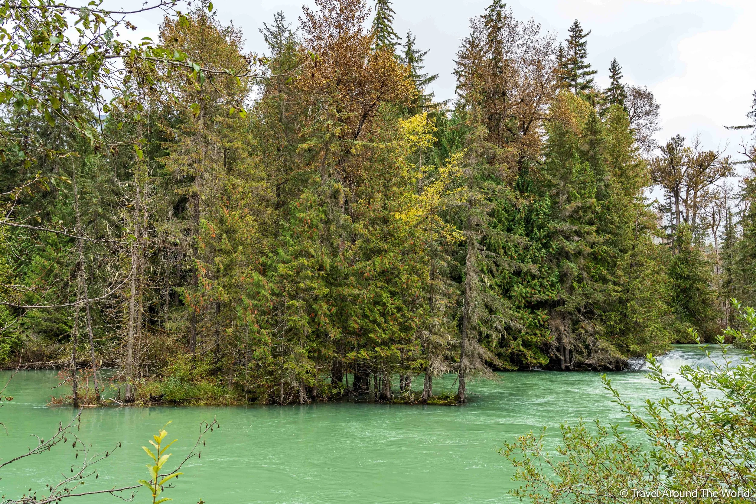 Drowned Forest (versunkener Wald)