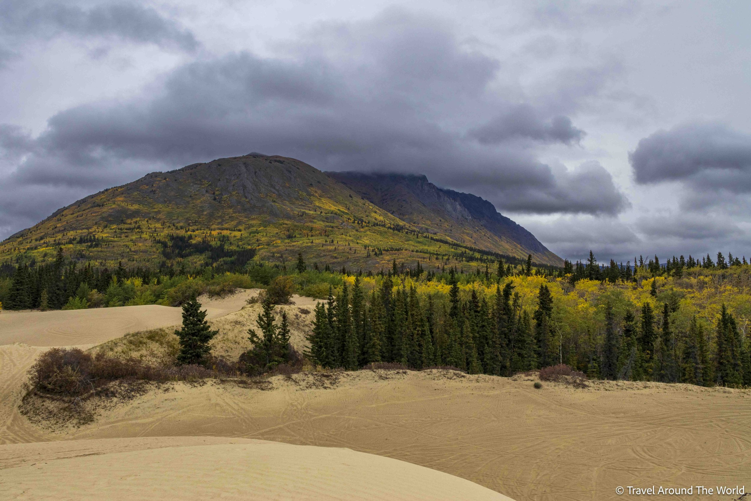 Carcross Desert