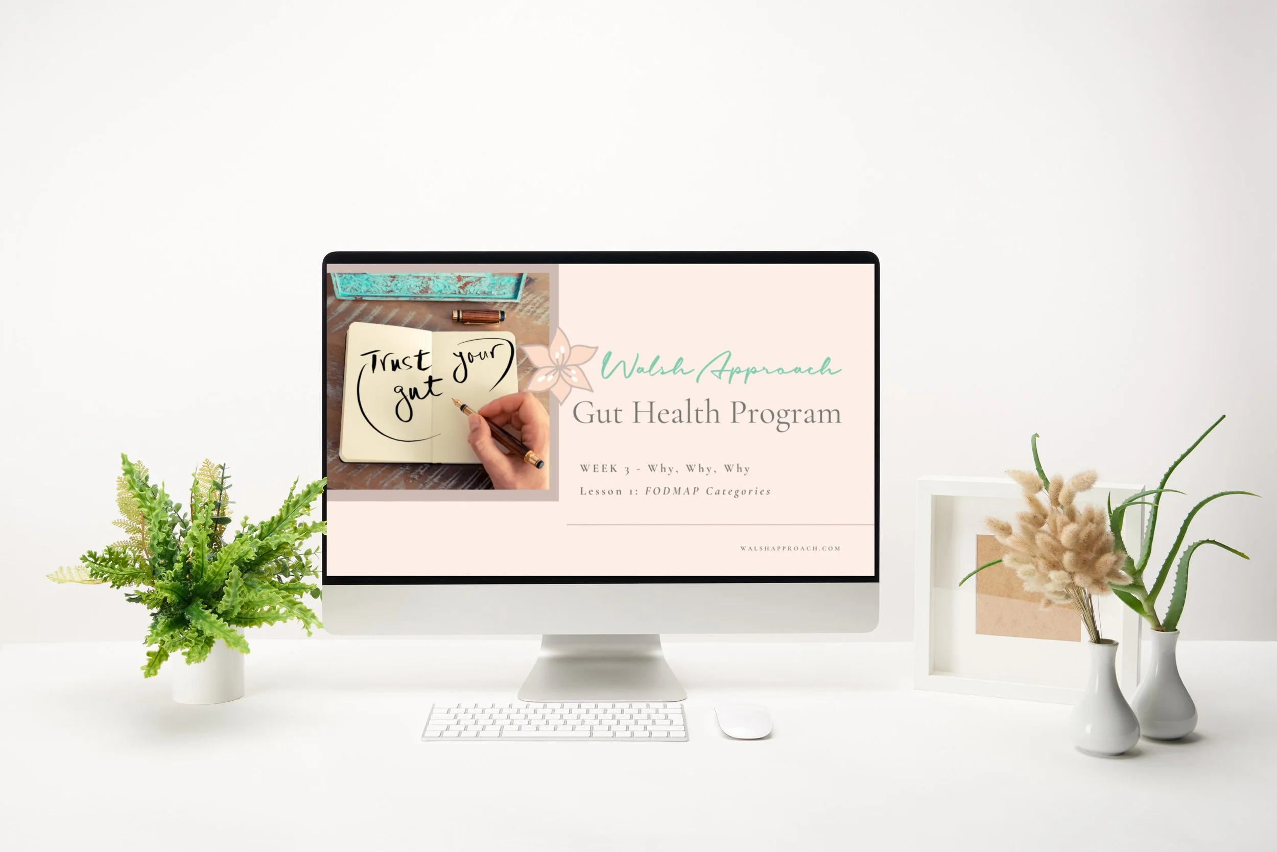 A computer screen displaying a 12-Week Gut Health Program slide, surrounded by a plant and desk items, representing the step-by-step guidance and tools participants will use to achieve lasting gut health results.