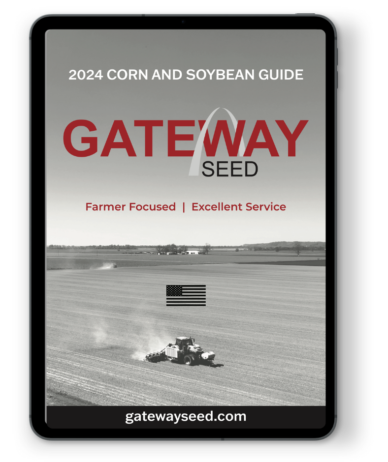 Corn - Scout Seed Co.