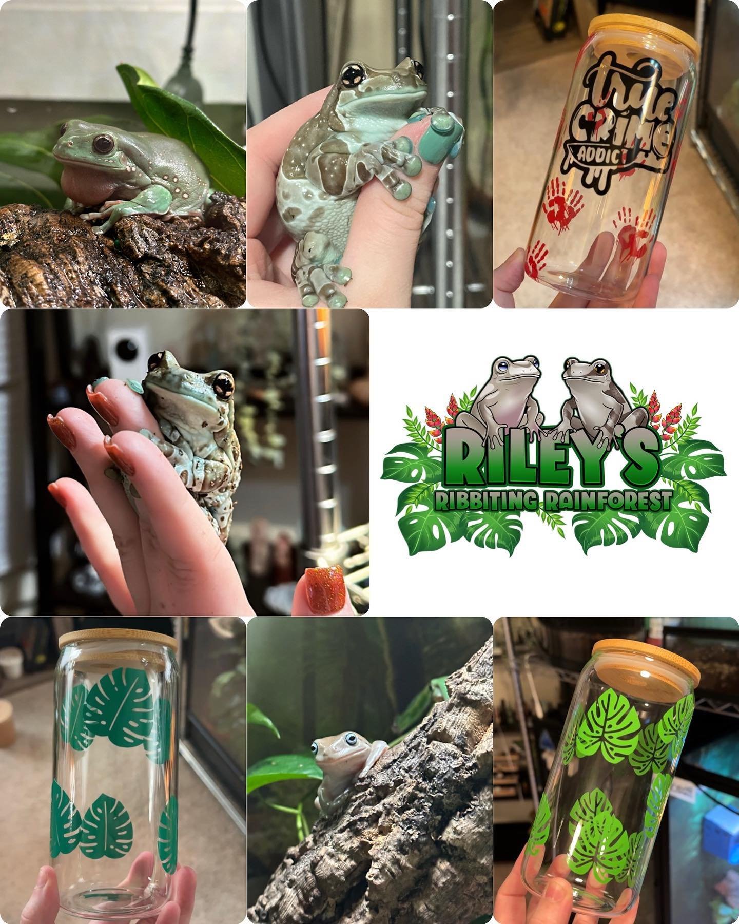 @rileys.ribbiting.rainforest will be vending with us on June 2nd! They will have white tree frogs, vinyl stickers, decals, keychains, &amp; travel mugs! #frog #frogs #exotic #exoticanimals #exoticreptiles #expo #event #reptileexpo #reptileshow #repto