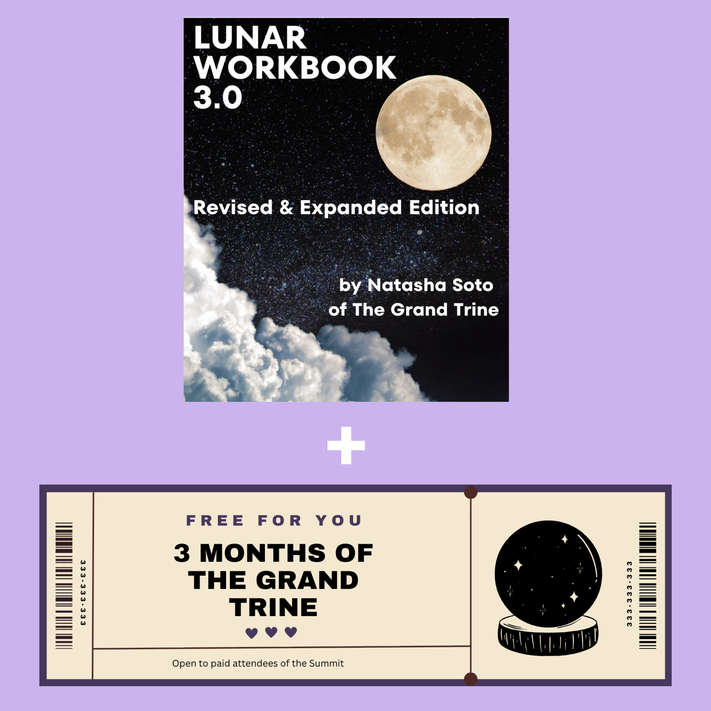 LUNAR WORKBOOK 3.0 Revised & Expanded Edition (5).png