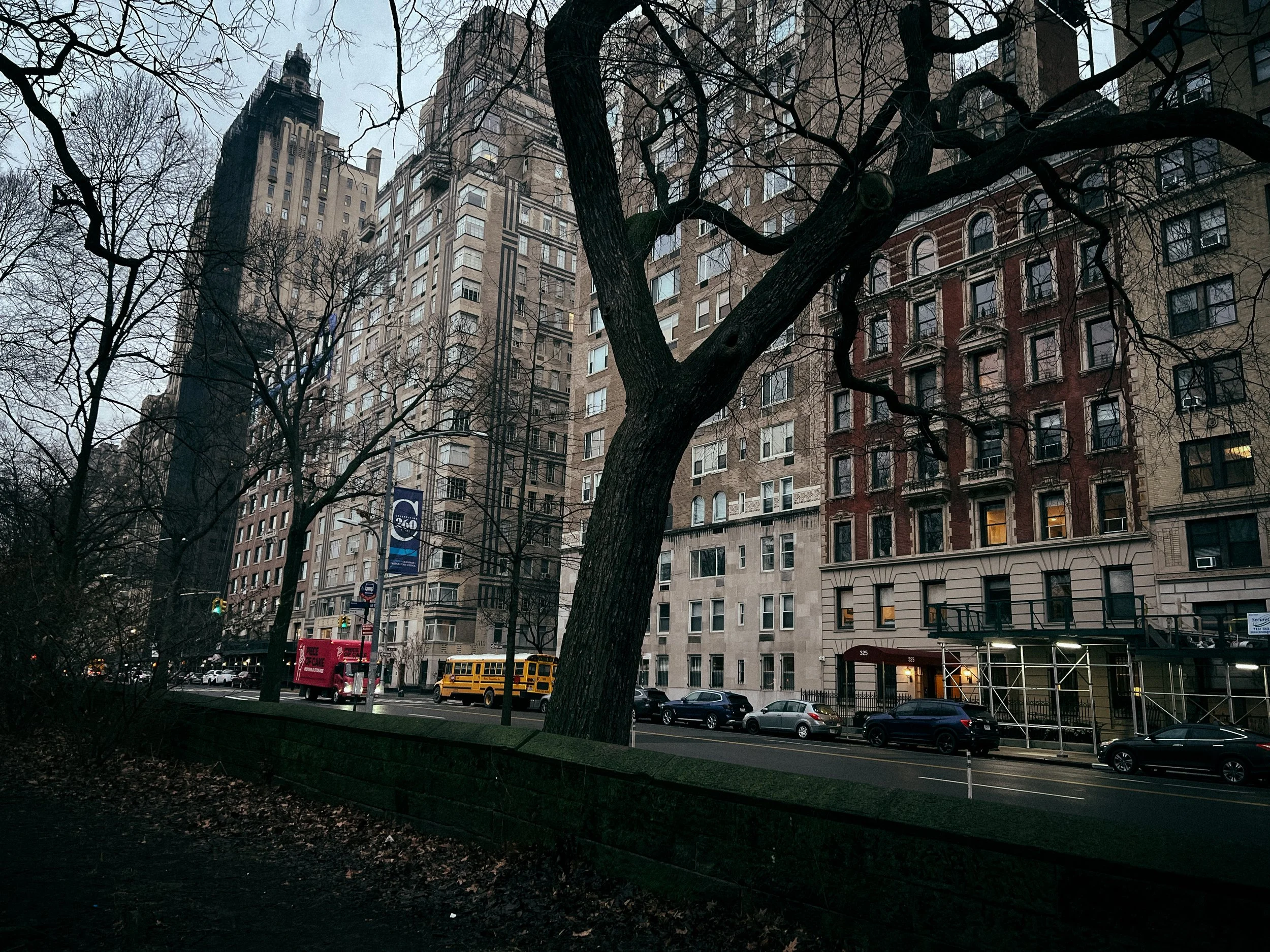 Street view of urban buildings with leafless trees and parked cars