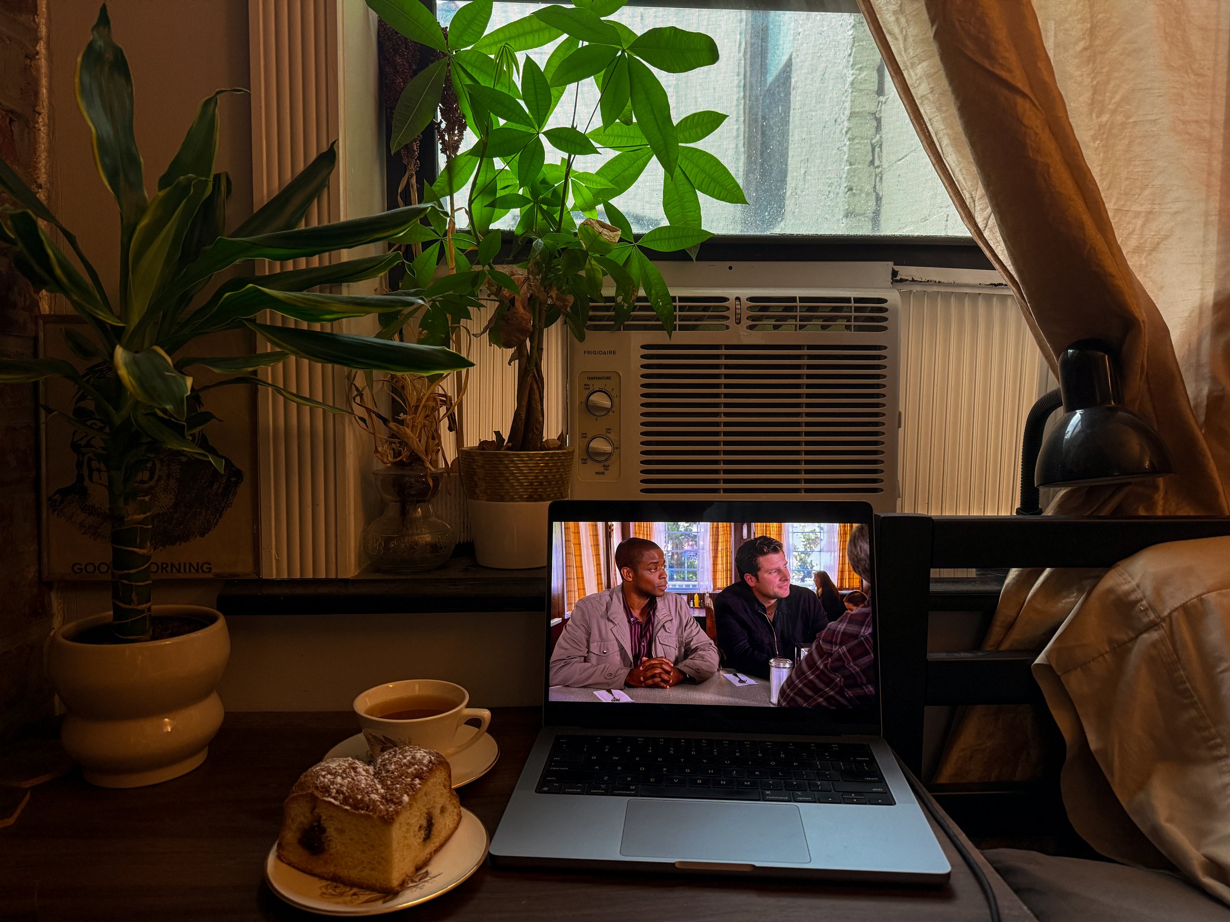 Christopher Clucas - scene showing a windowsill with potted plants, an air conditioning unit, and a partially open window with curtains.