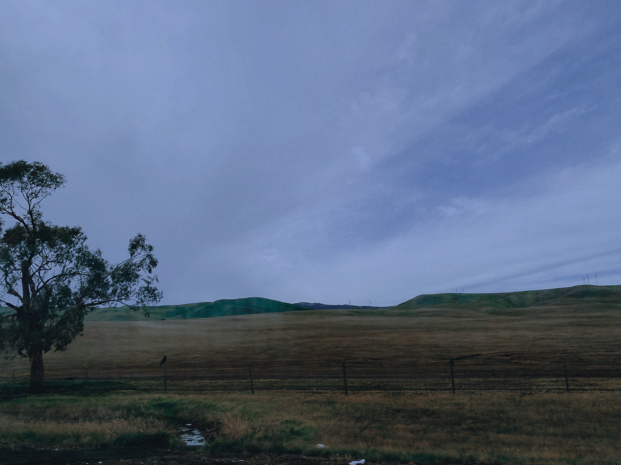 A landscape scene showing a partly cloudy sky with some trees in the foreground and a fence along the bottom.