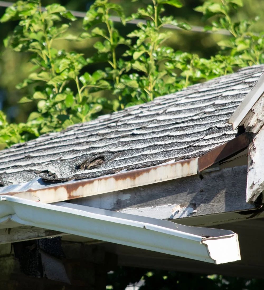 Gutter Repair Jacksonville FL | Fast & Reliable Repairs — Rain Relief ...