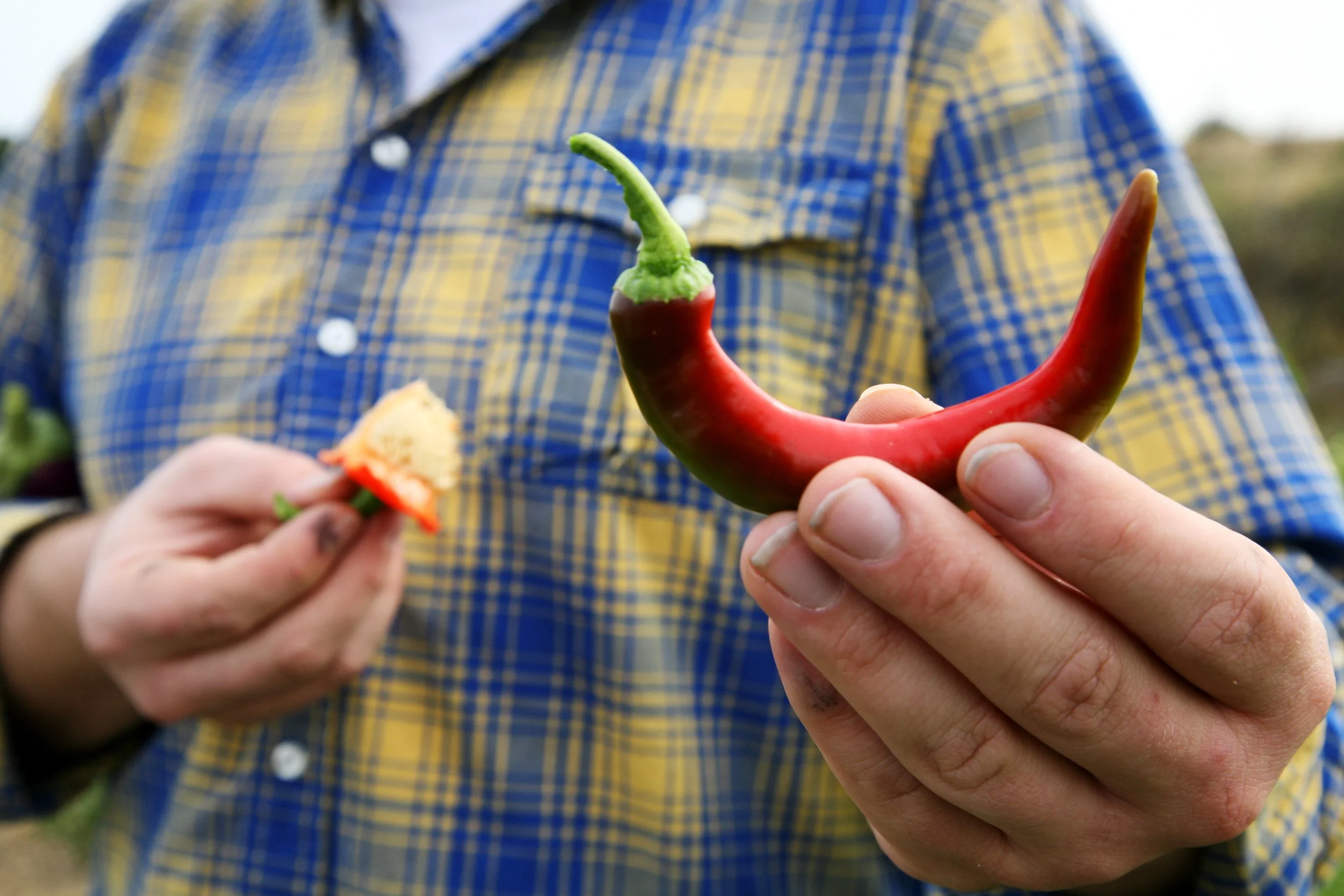 Commercial- Editorial- Real-Estate-Photography-photographer-marketing-material-portfolio-social-media-business-website-content-headshot-portraiture-contemporary-traditional | full-usage-rights | Alaska-Anchorage-Wasilla-Seward- Eagle-River- Palmer | 