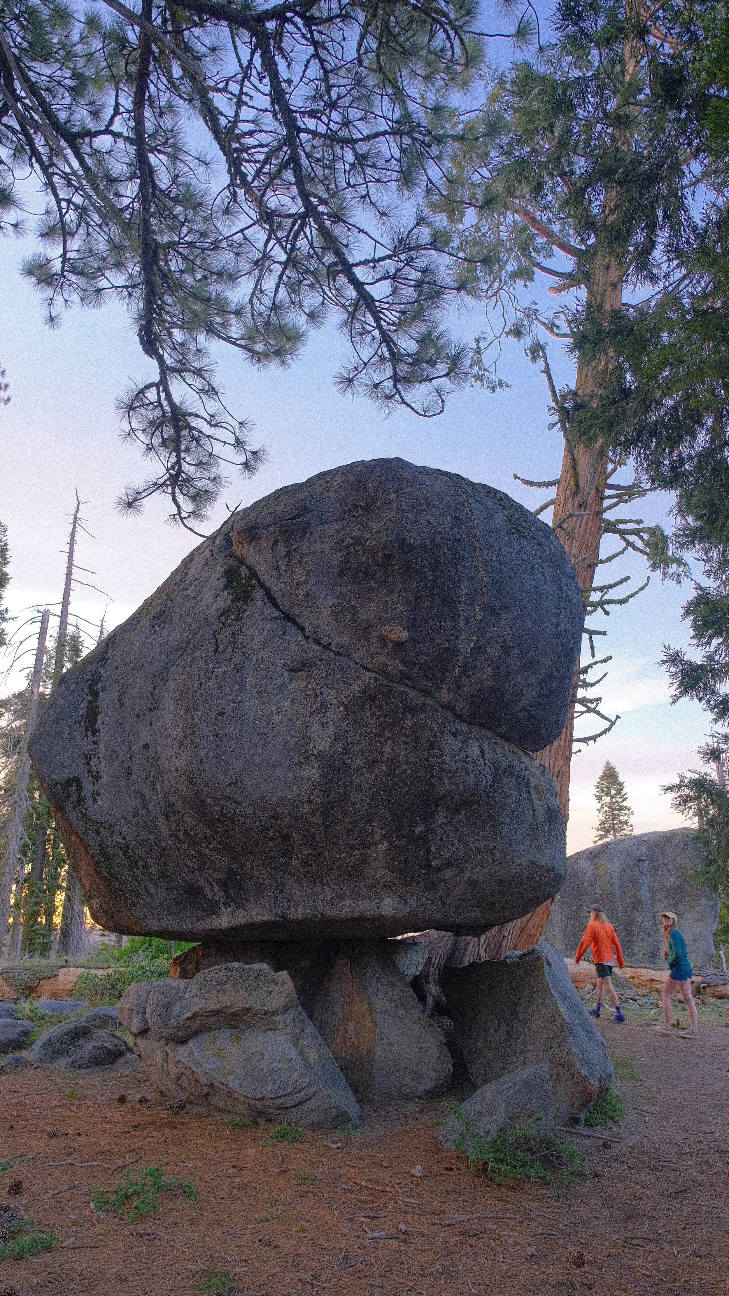 Large balanced boulder resting on smaller rocks in a forest with tall pine trees, with two people walking nearby.