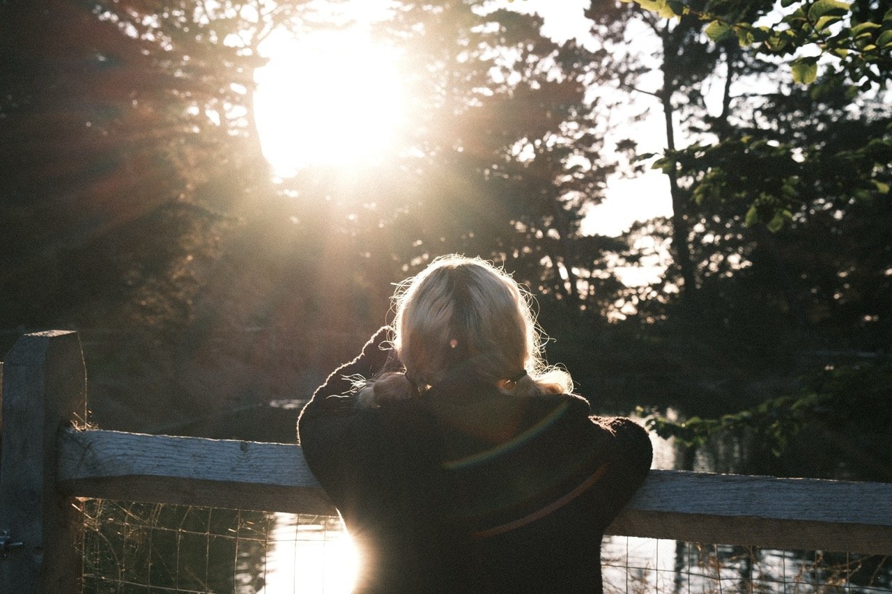 A person with blonde hair looks at the sun through a wooden fence in a wooded area.
