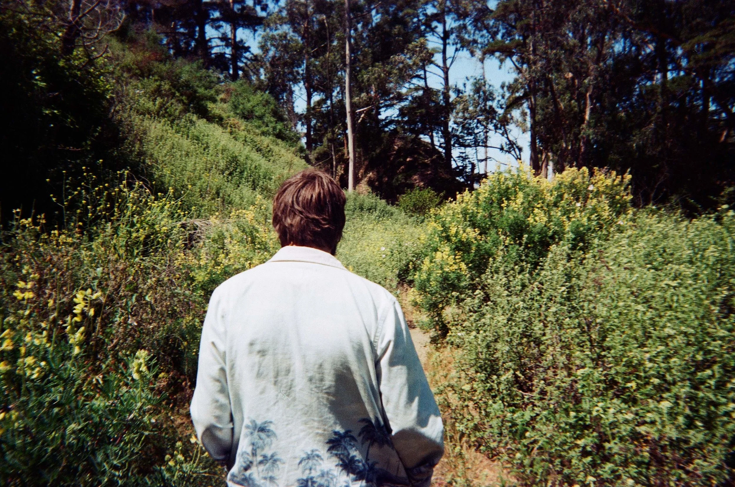 A man with brown hair, wearing a white shirt with palm tree patterns, walking on a narrow dirt path through dense green bushes and trees in a forested area.
