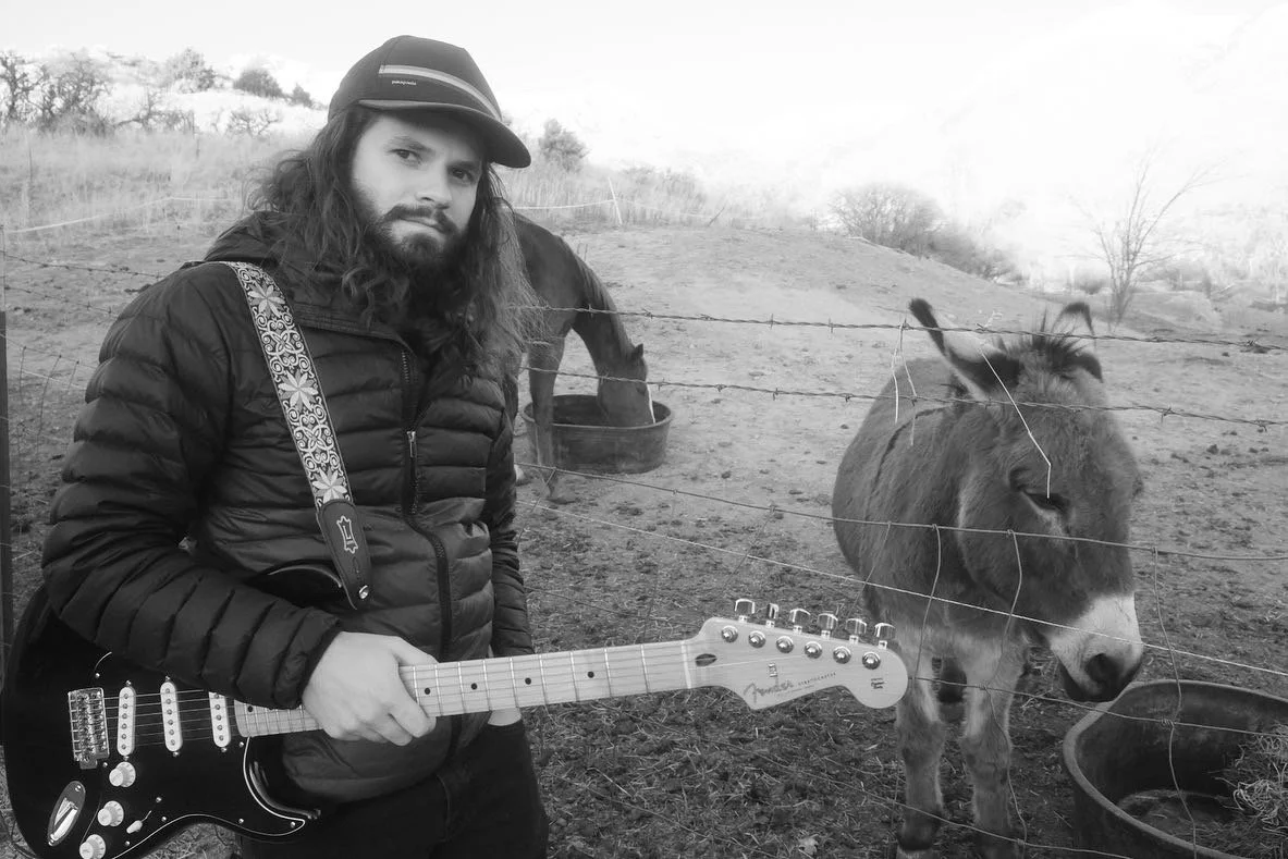 A man with long hair and a beard holding an electric guitar, standing near a barbed-wire fence with a donkey and a horse in a rural outdoor setting.