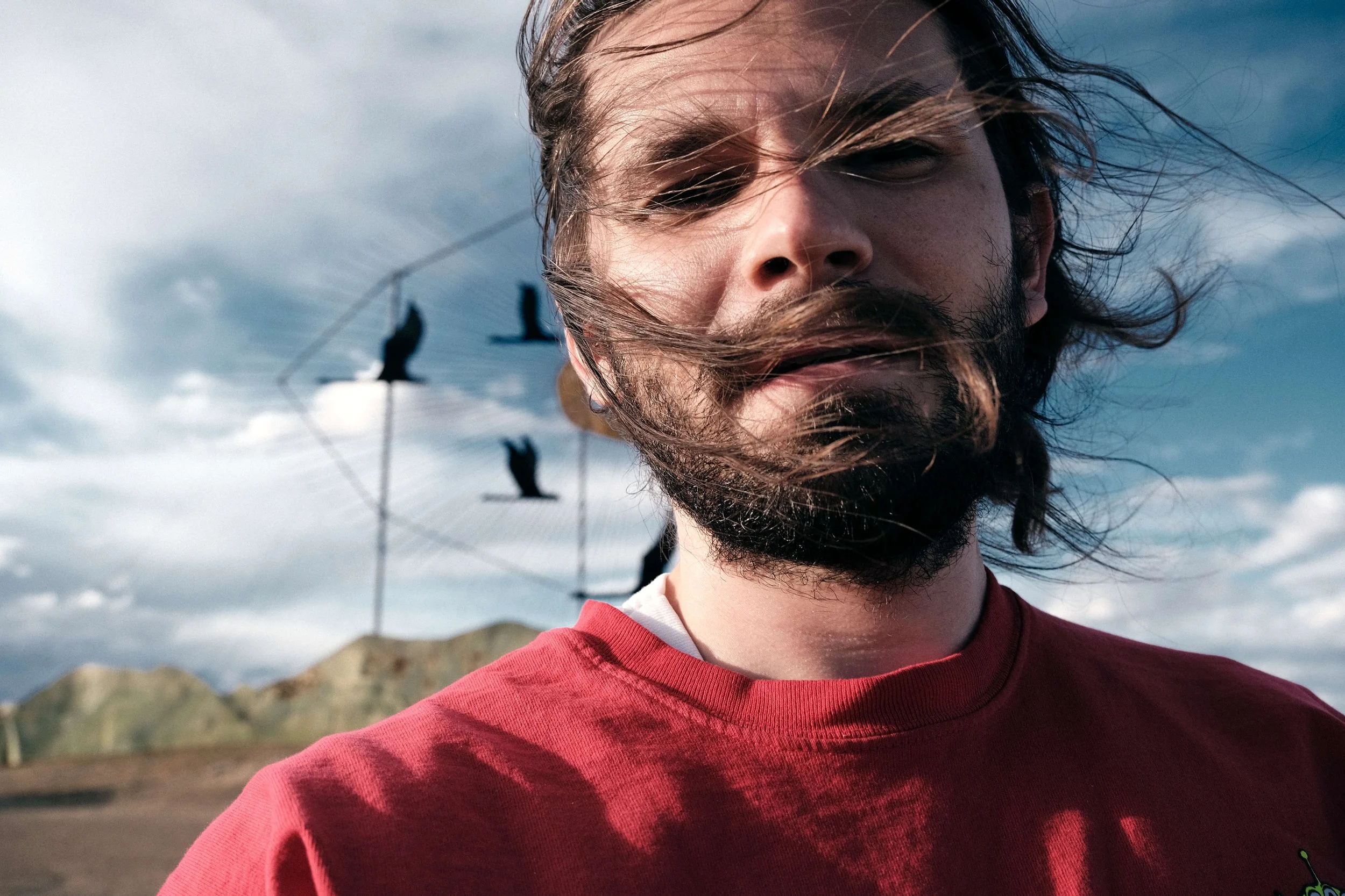 Close-up of a man with windblown hair and beard, wearing a red shirt, outdoors with cloudy sky and a tire swing with black silhouette of birds in the background.