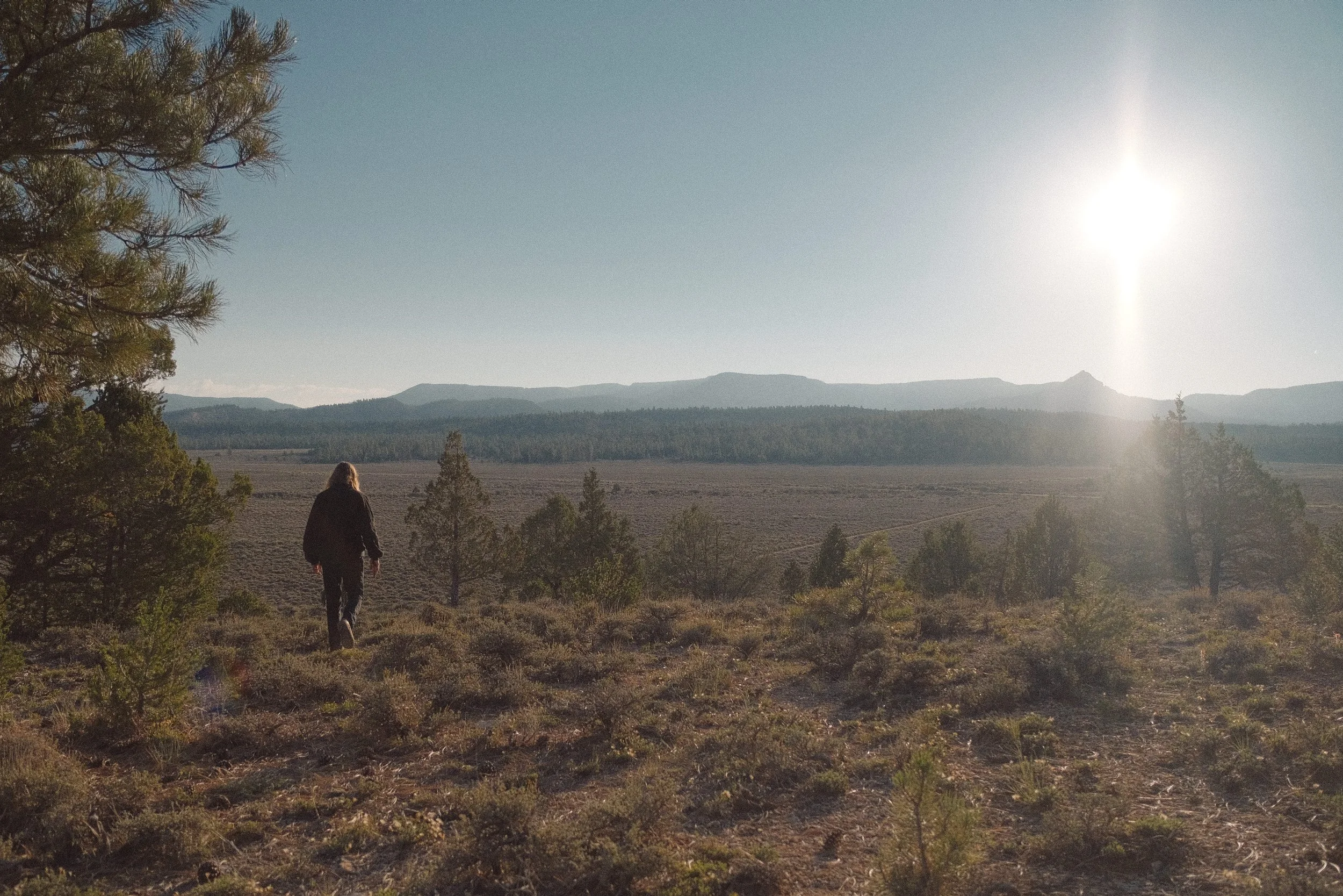 A person with long hair walking on dry, shrub-covered terrain with scattered trees, against a backdrop of distant mountains and a clear sky with the sun shining brightly.
