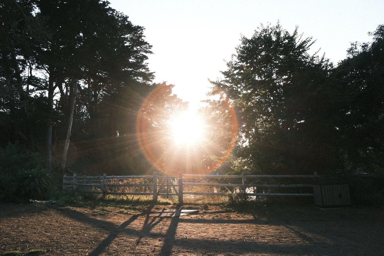 Sun shining through trees over a dirt path with a wooden fence and shadows on the ground.