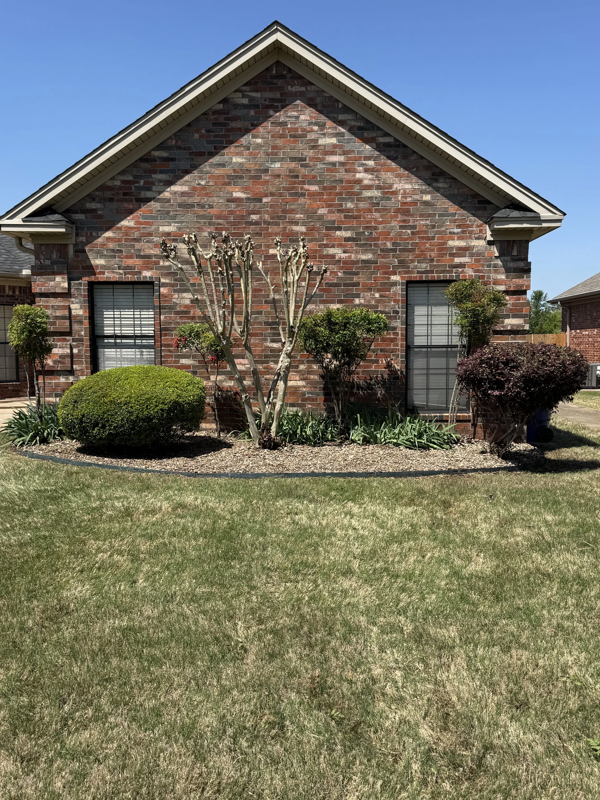 Front view of a brick house with two windows, landscaped yard, trimmed bushes, and a small tree with pruned branches.