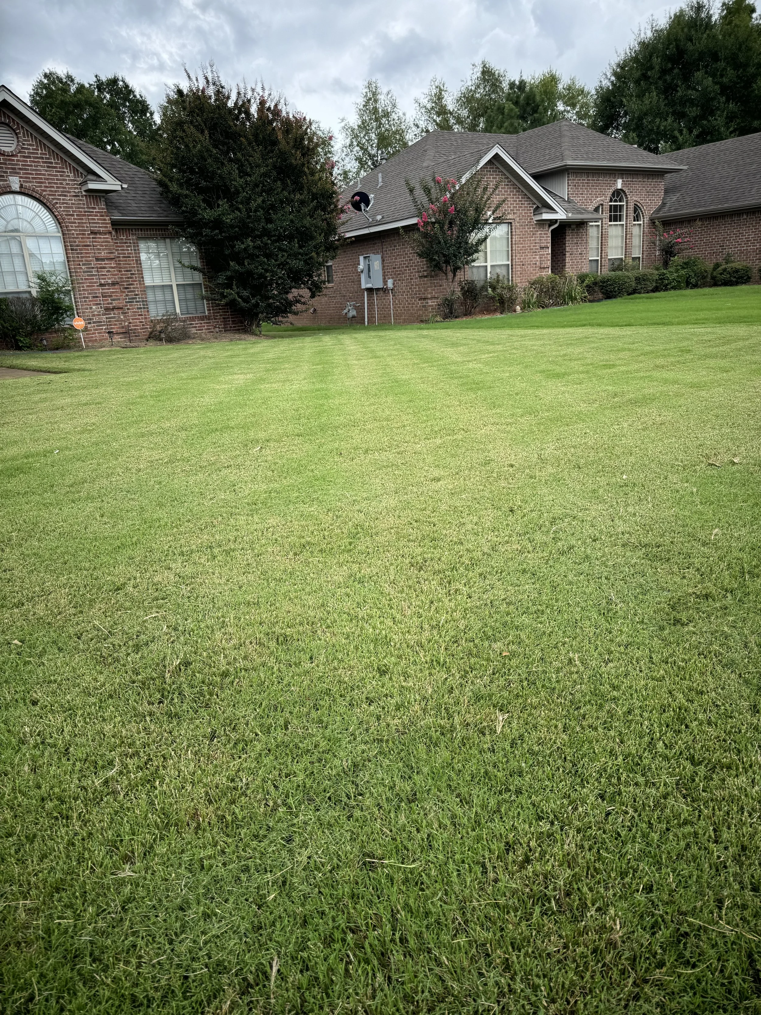 Front yard of a brick house with a well-maintained green lawn, trees, shrubs, and cloudy sky.