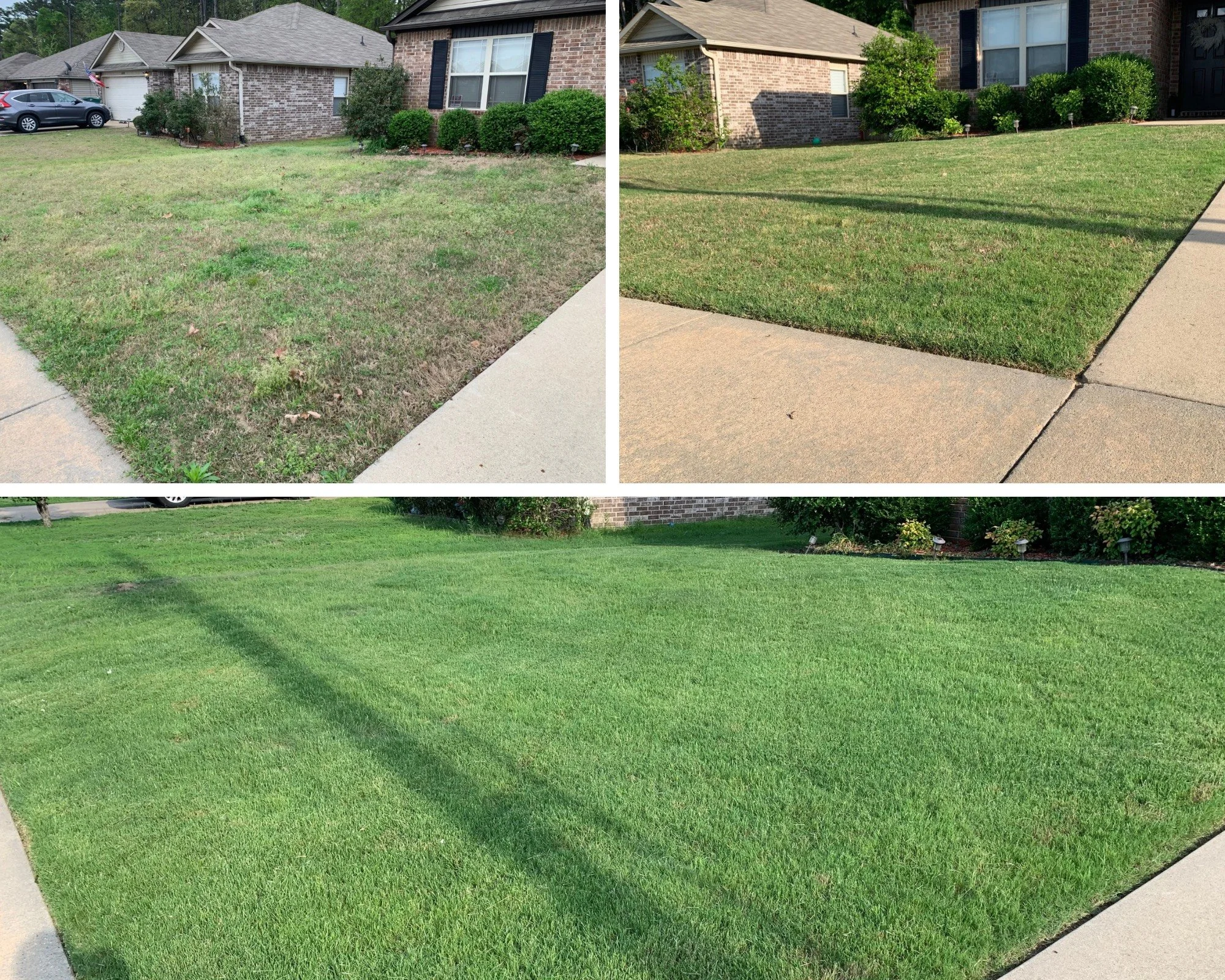 Comparison of three lawns showing progression from patchy and brown grass to lush, evenly green grass.