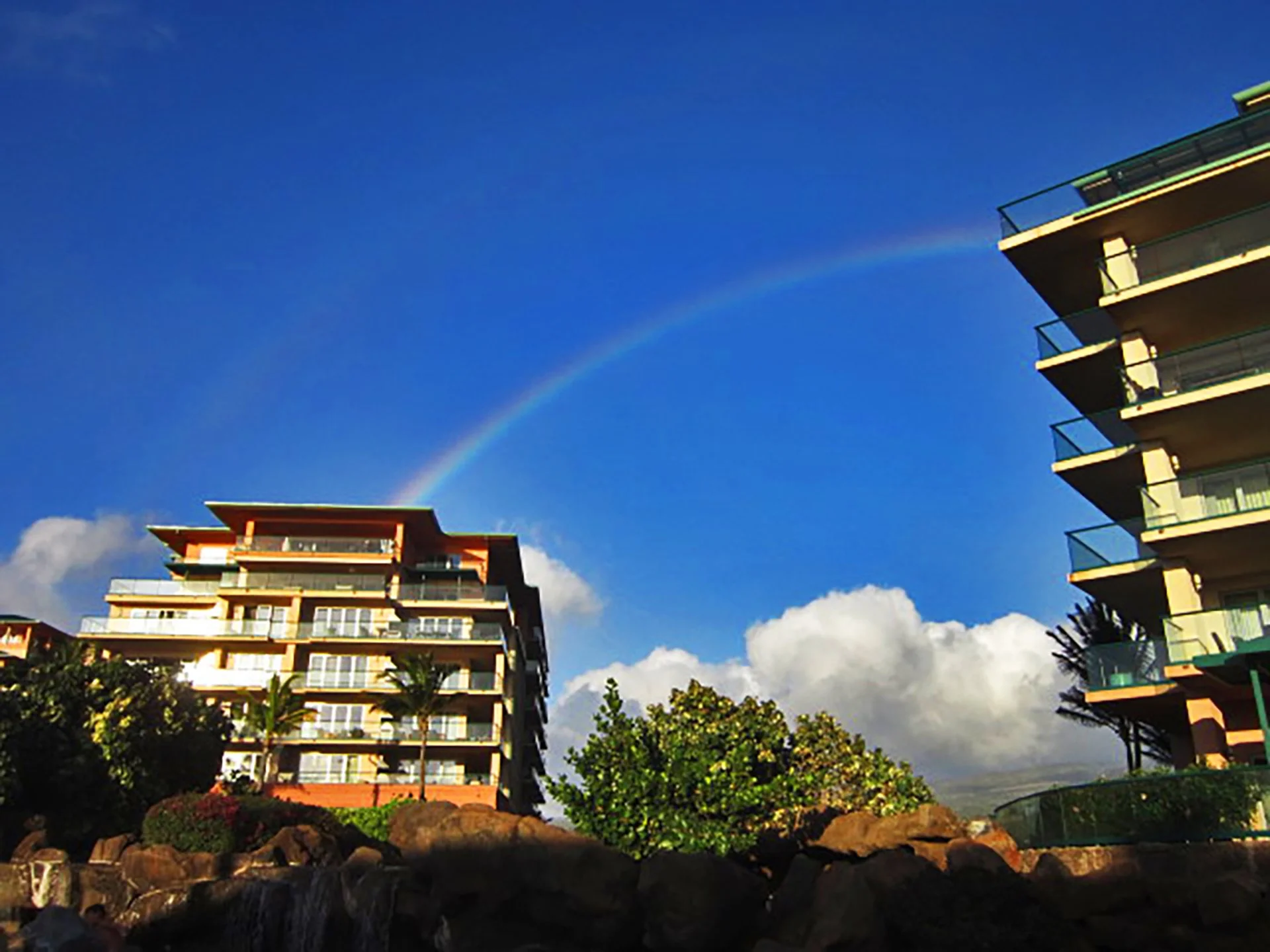 Maui resort reviews