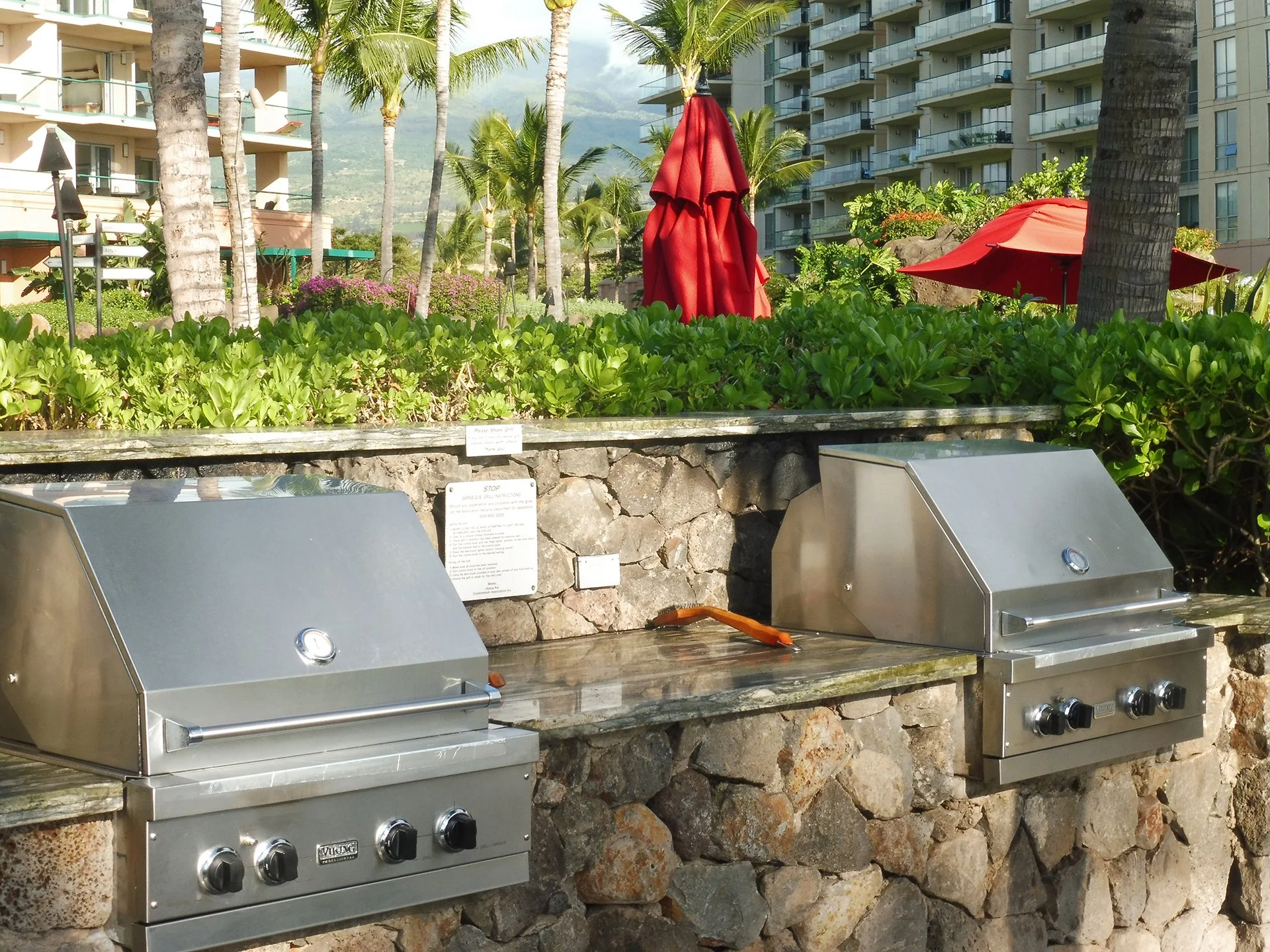 farmers market vegetarian vegan grocery