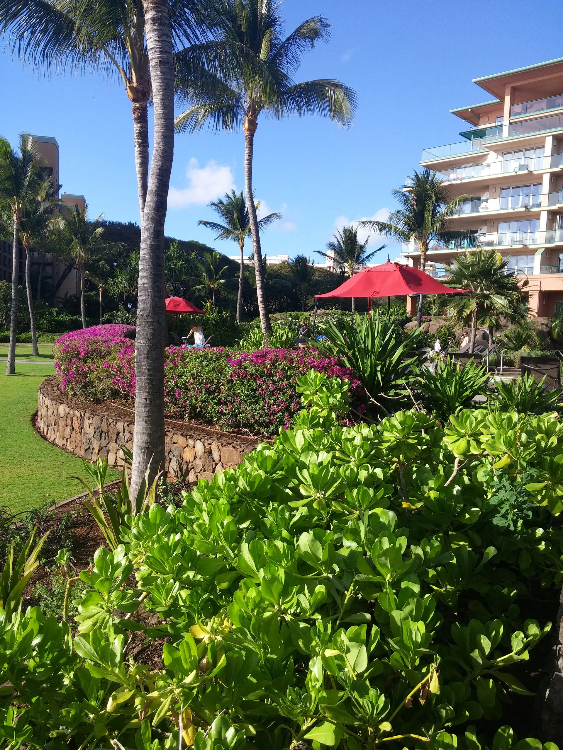 tropical Maui resort view