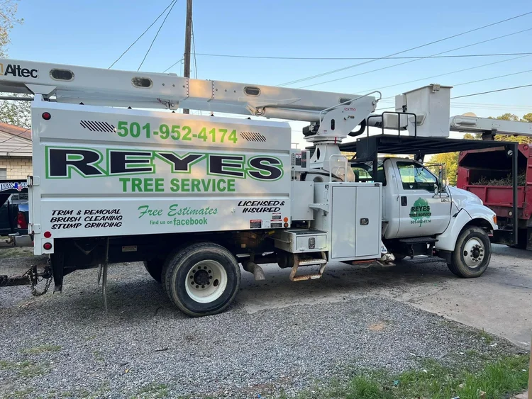 Reyes Tree Service