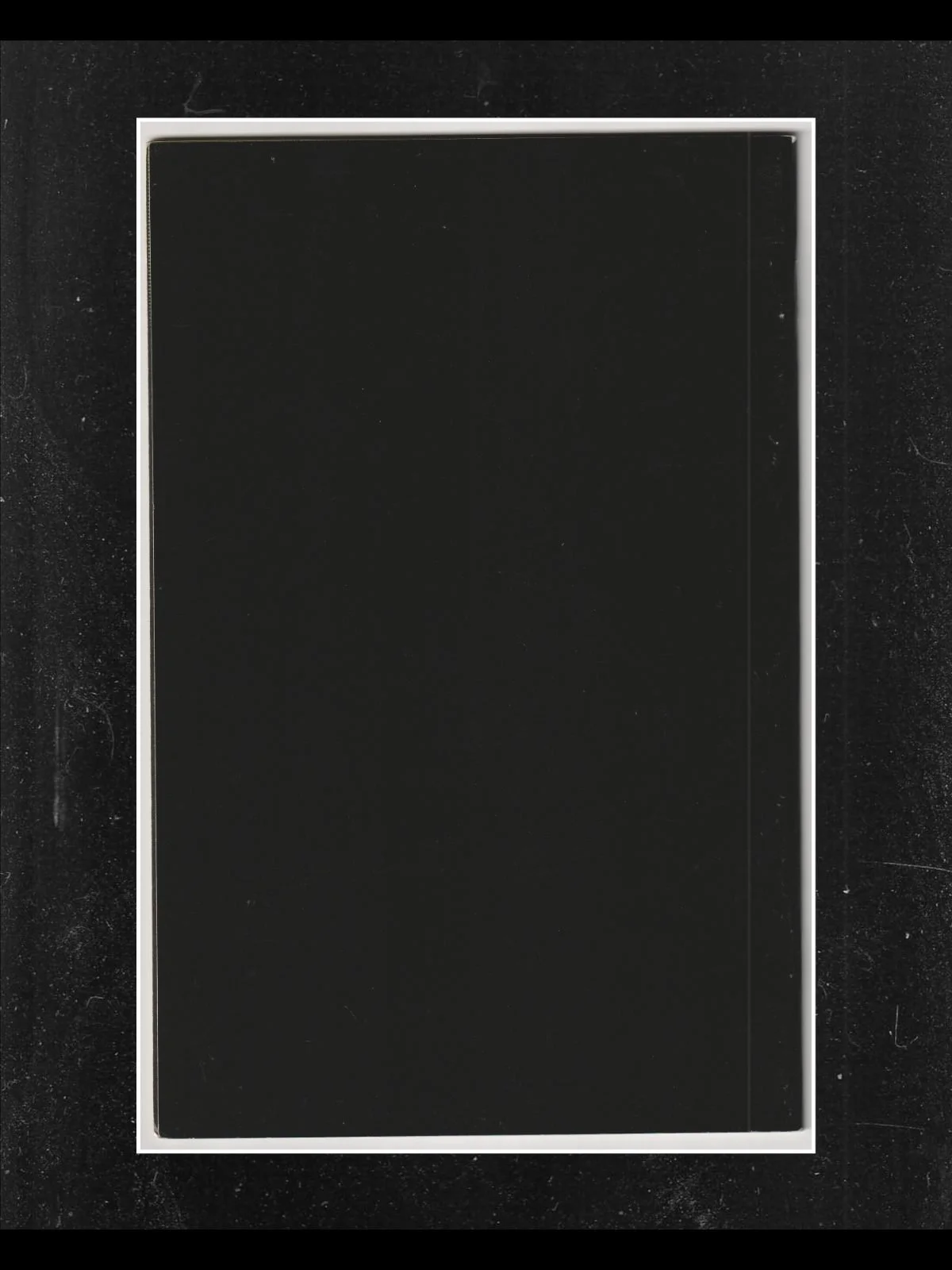 back.jpg