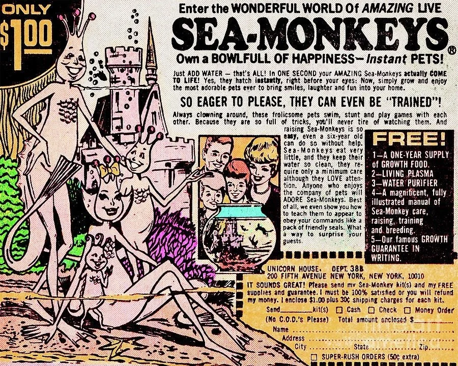 The Wildest Comic Book Ads of the '60s &amp; '70s