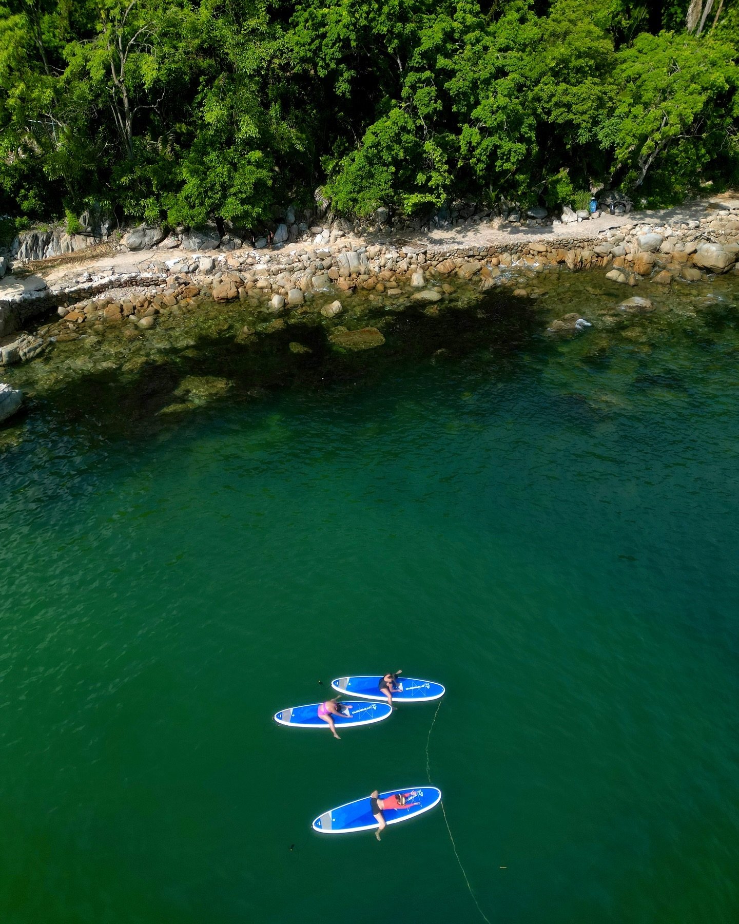 Sometimes, all I want to do is frog pose on a paddleboard surrounded by the jungle and emerald green waters.
Somehow SUP yoga found me and time and time again, I come back to this beautiful practice looking for refuge in nature.
I often turn to my